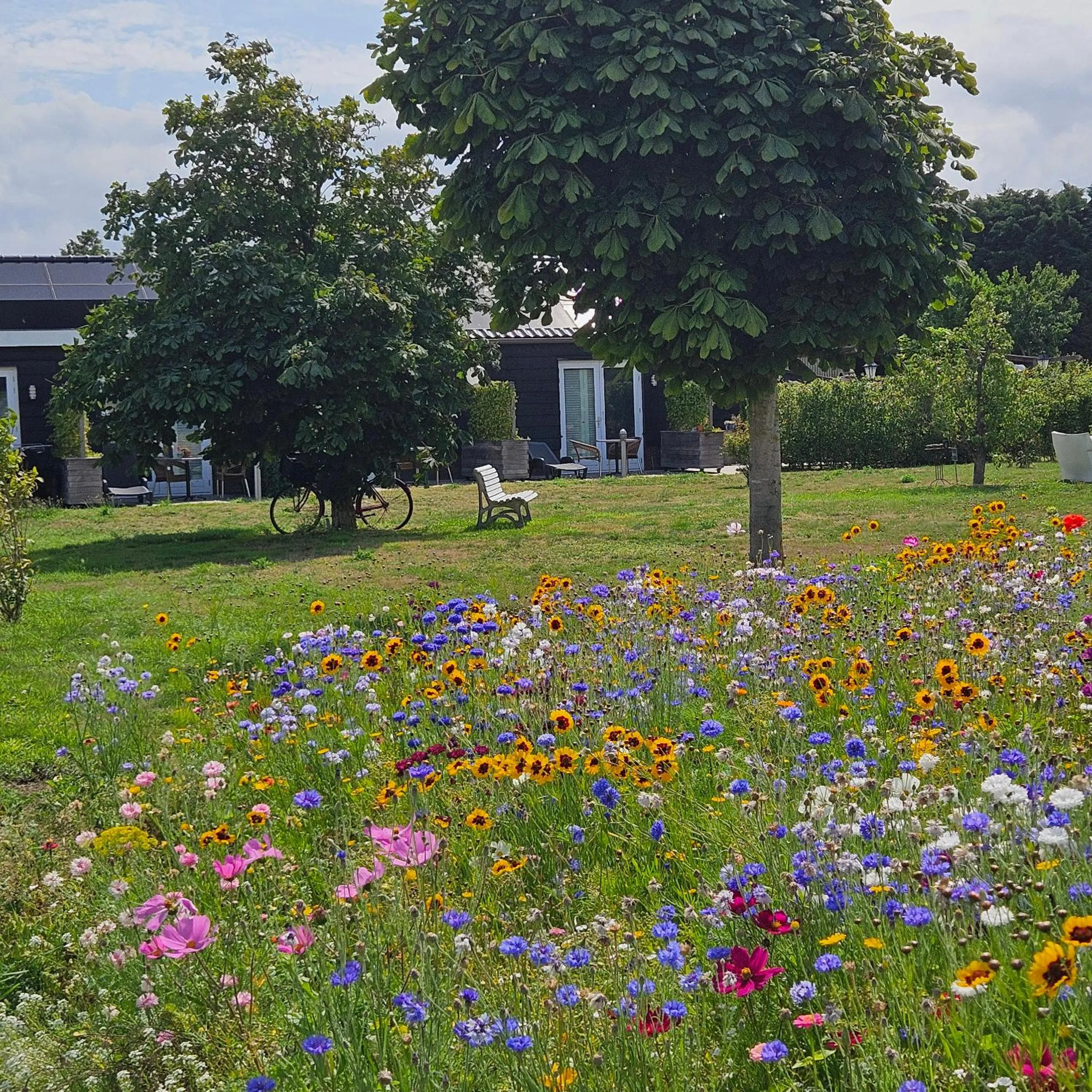 Property building in B&B Buutegeweun
