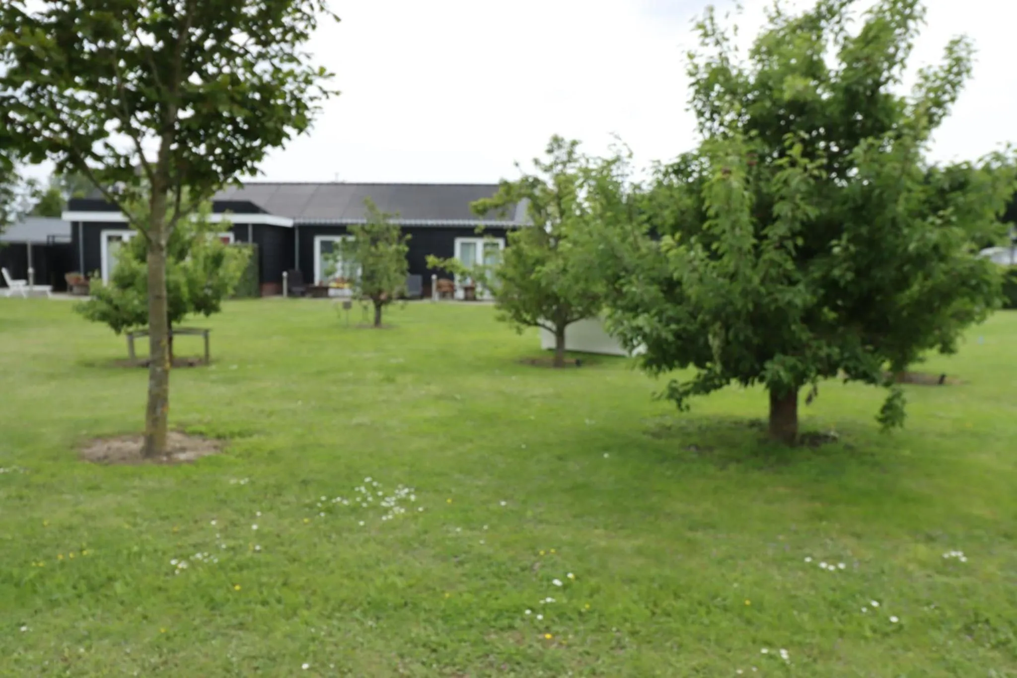 Natural landscape in B&B Buutegeweun