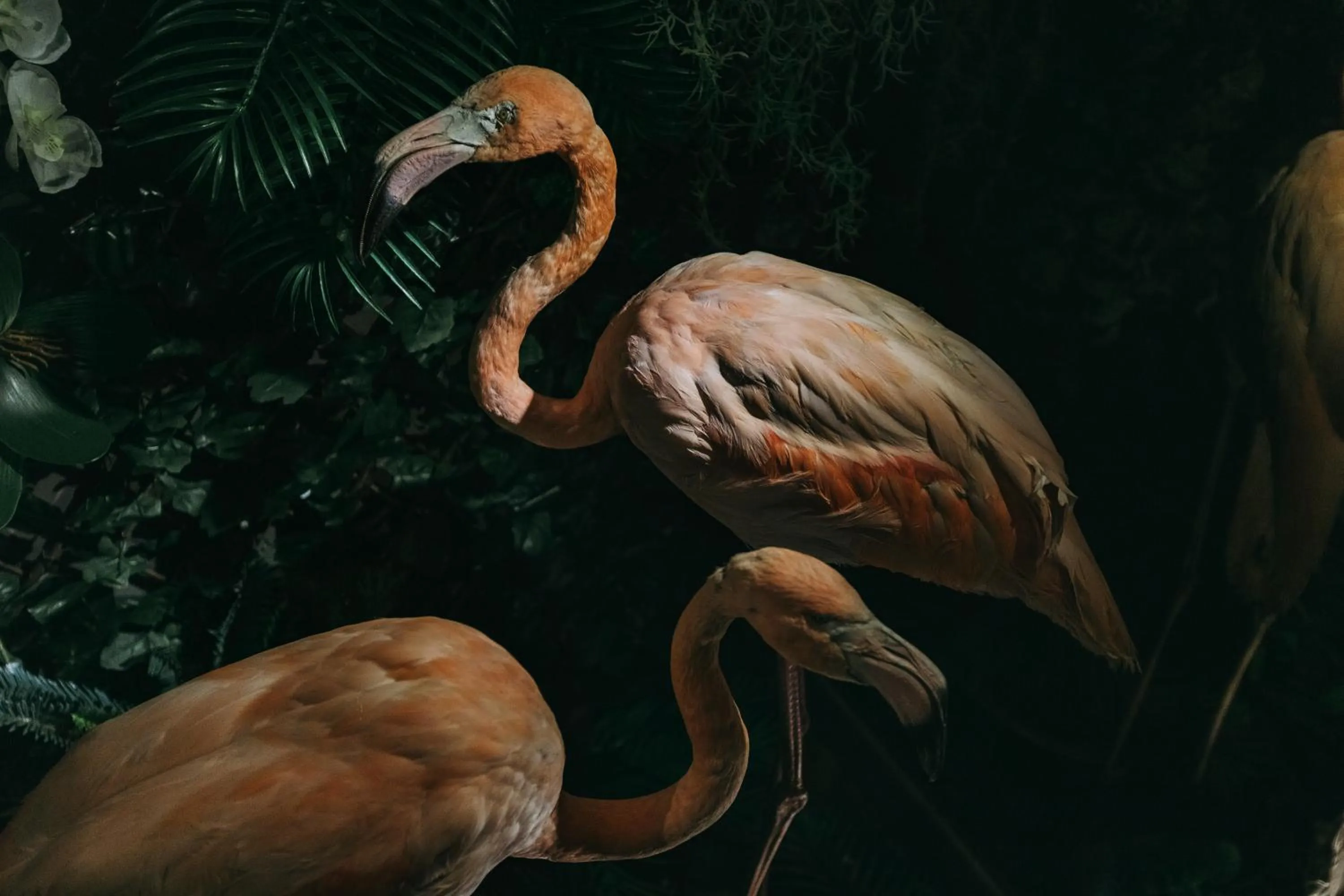 Lobby or reception in The Felix 10