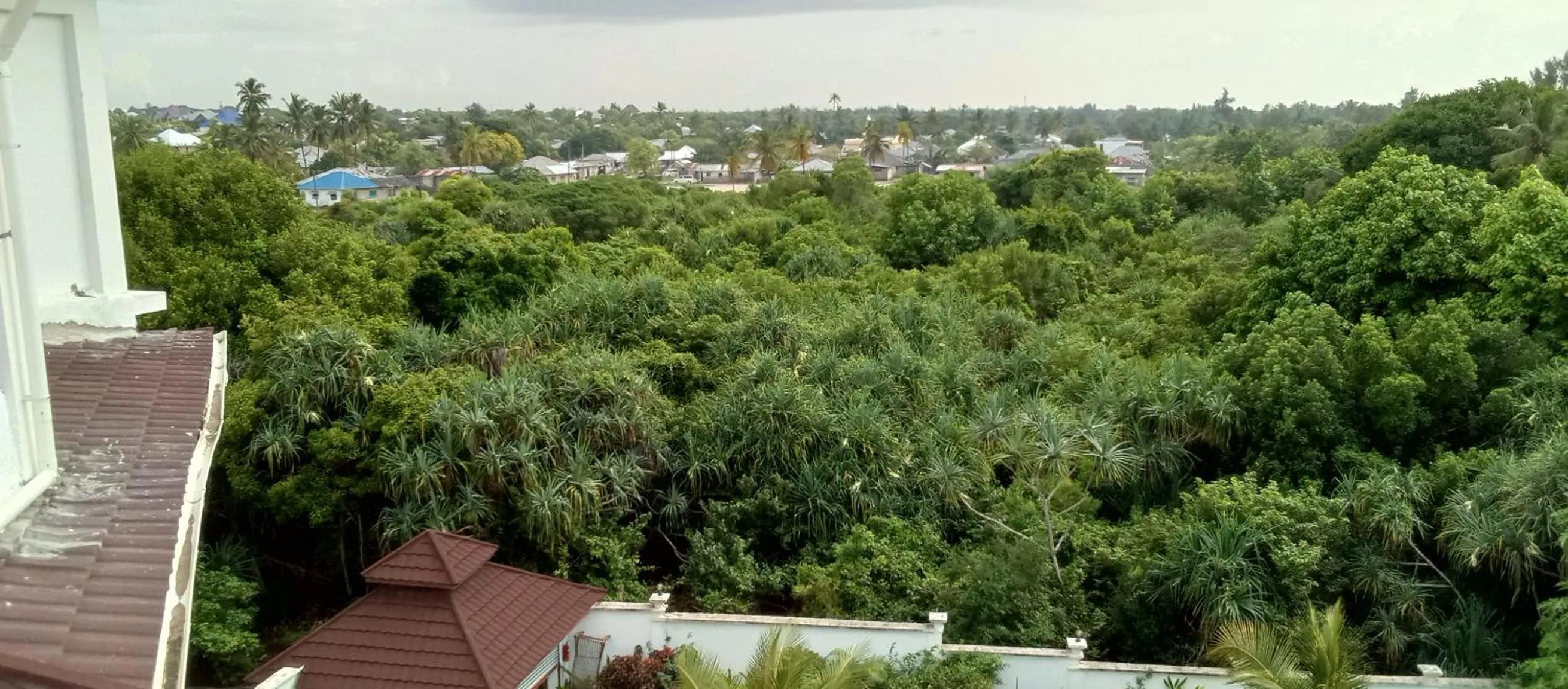 View (from property/room) in Zanoceanique Hotel