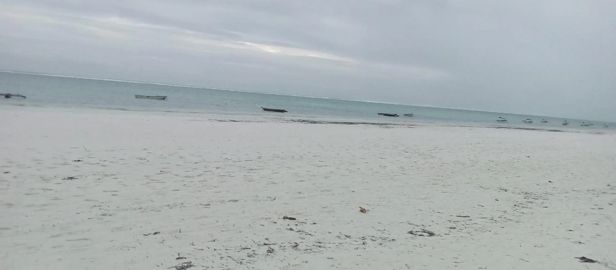 Beach in Zanoceanique Hotel