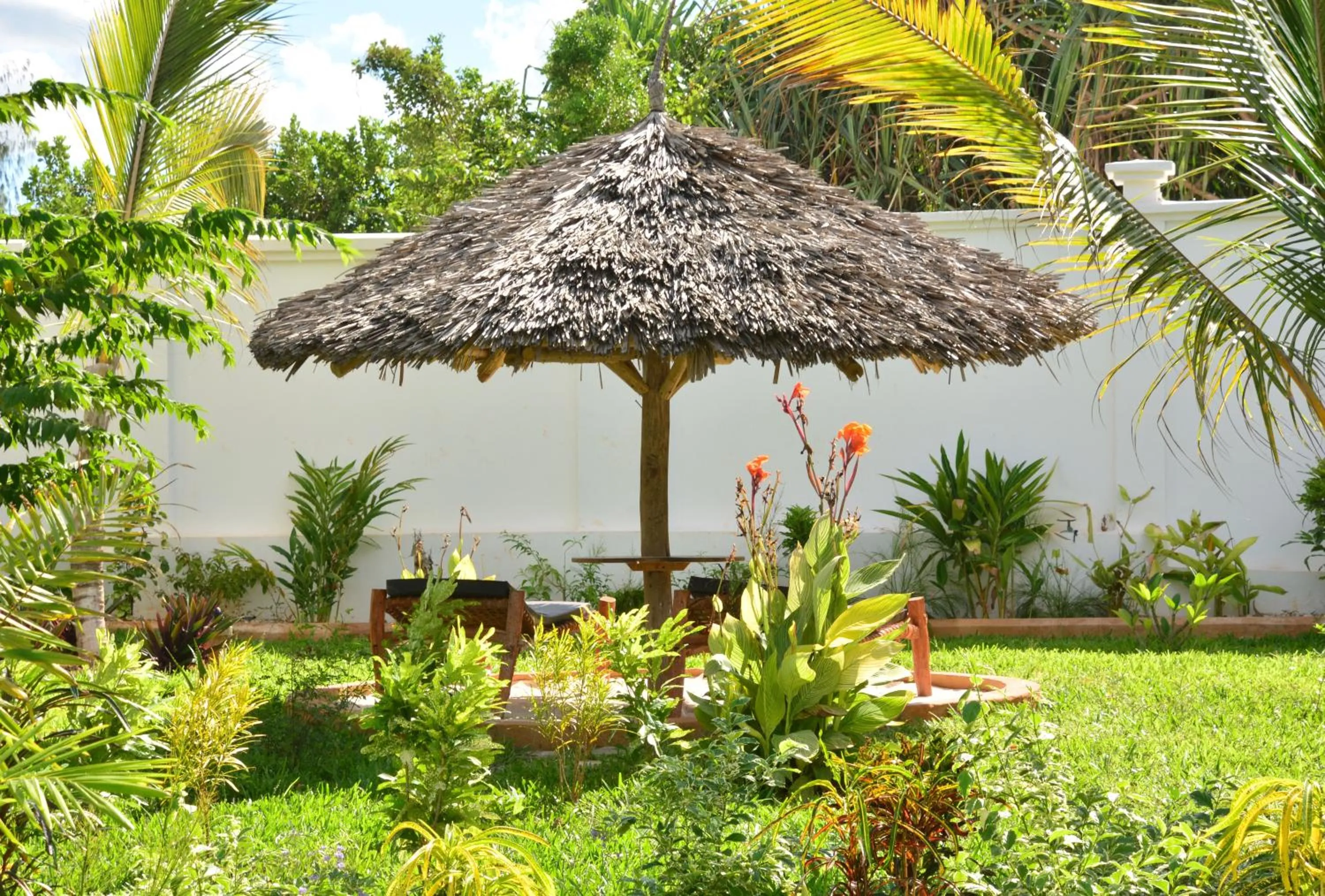 Garden in Zanoceanique Hotel