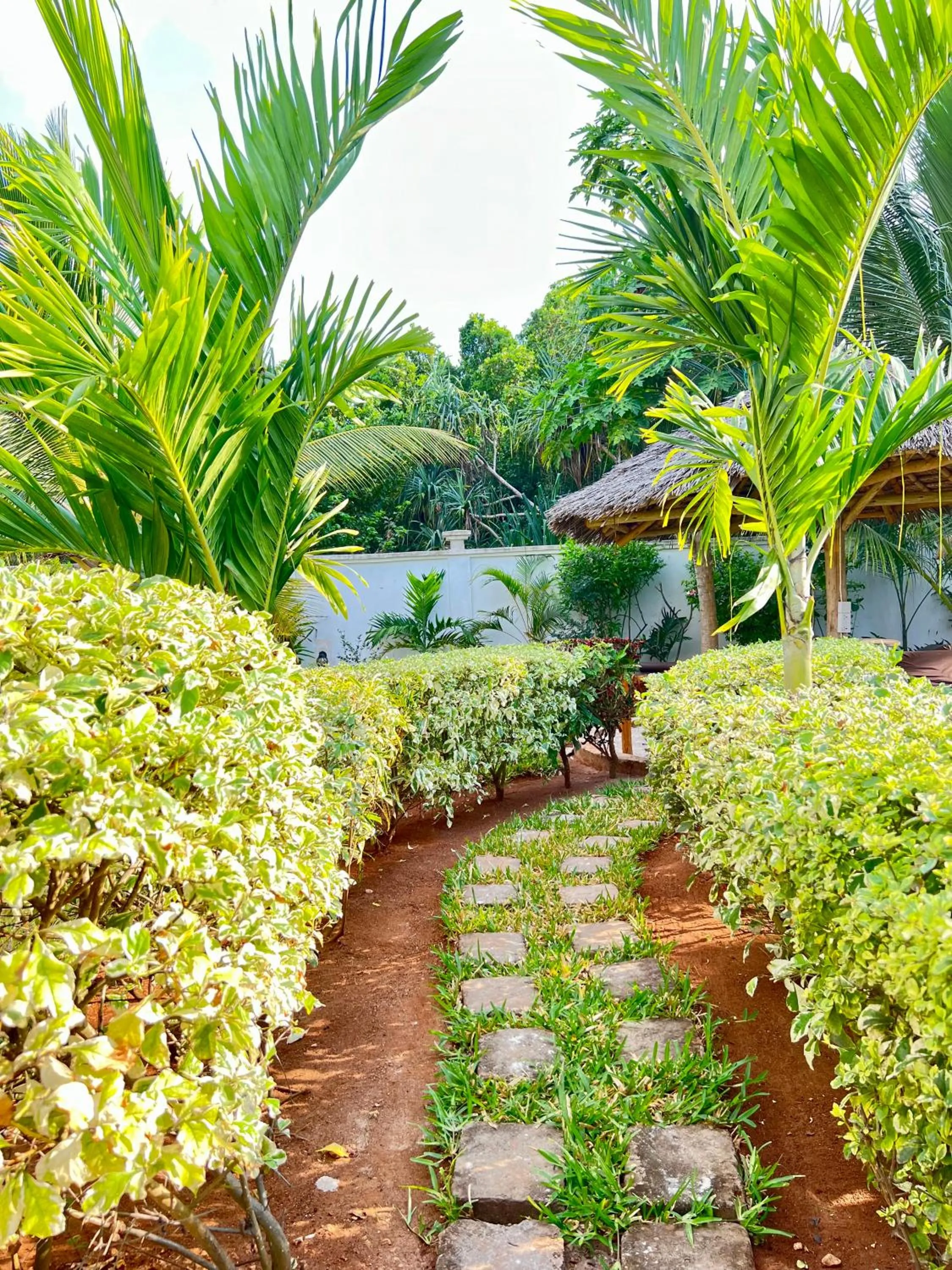 Garden in Zanoceanique Hotel
