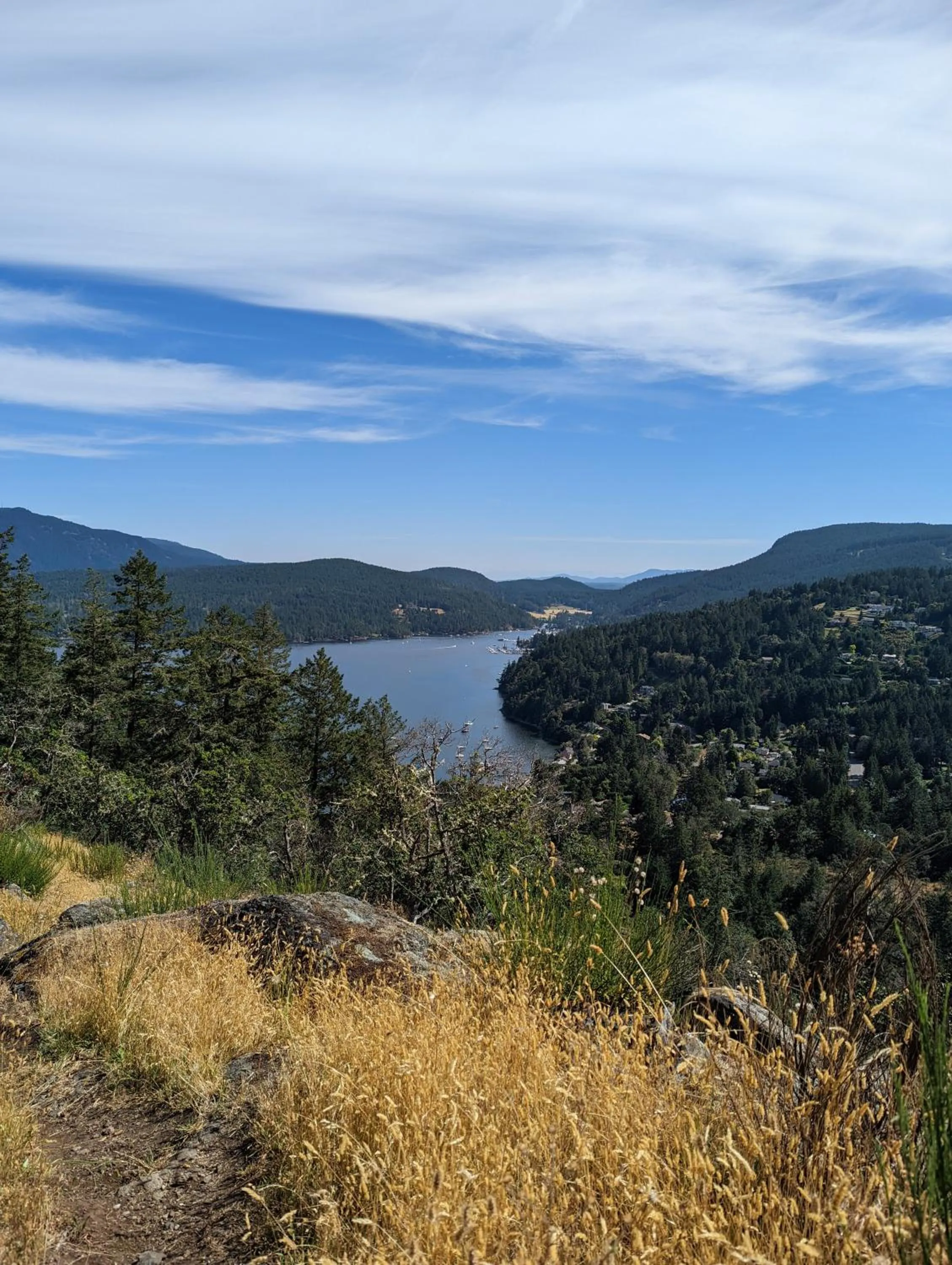 Hiking in Maple Rise Guesthouse