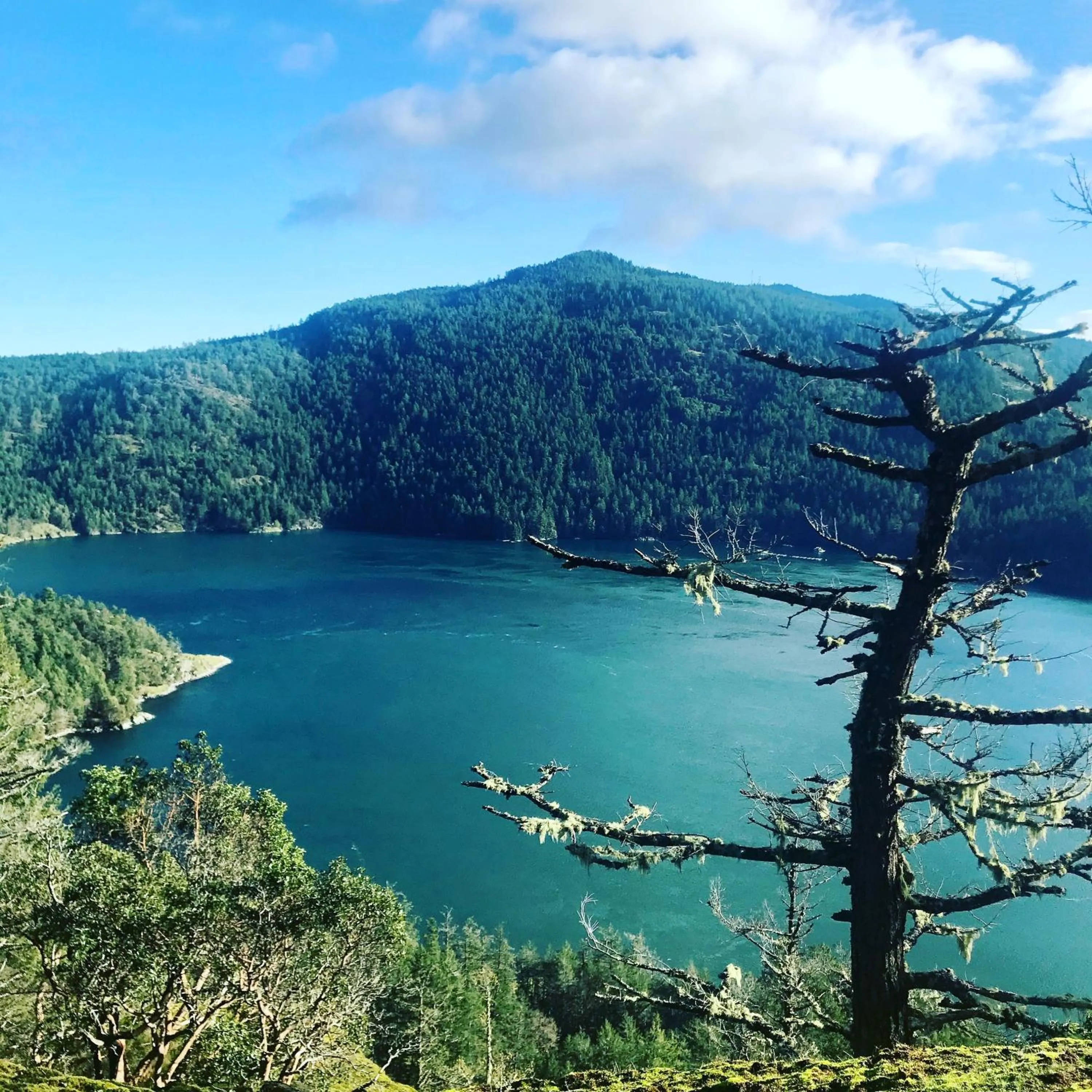 Neighbourhood in Maple Rise Guesthouse