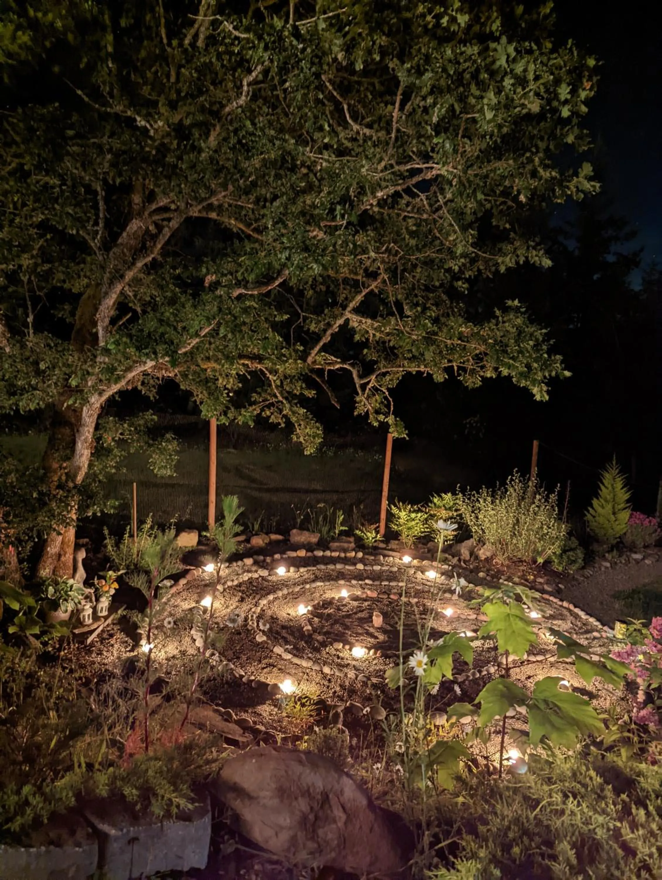 Garden in Maple Rise Guesthouse