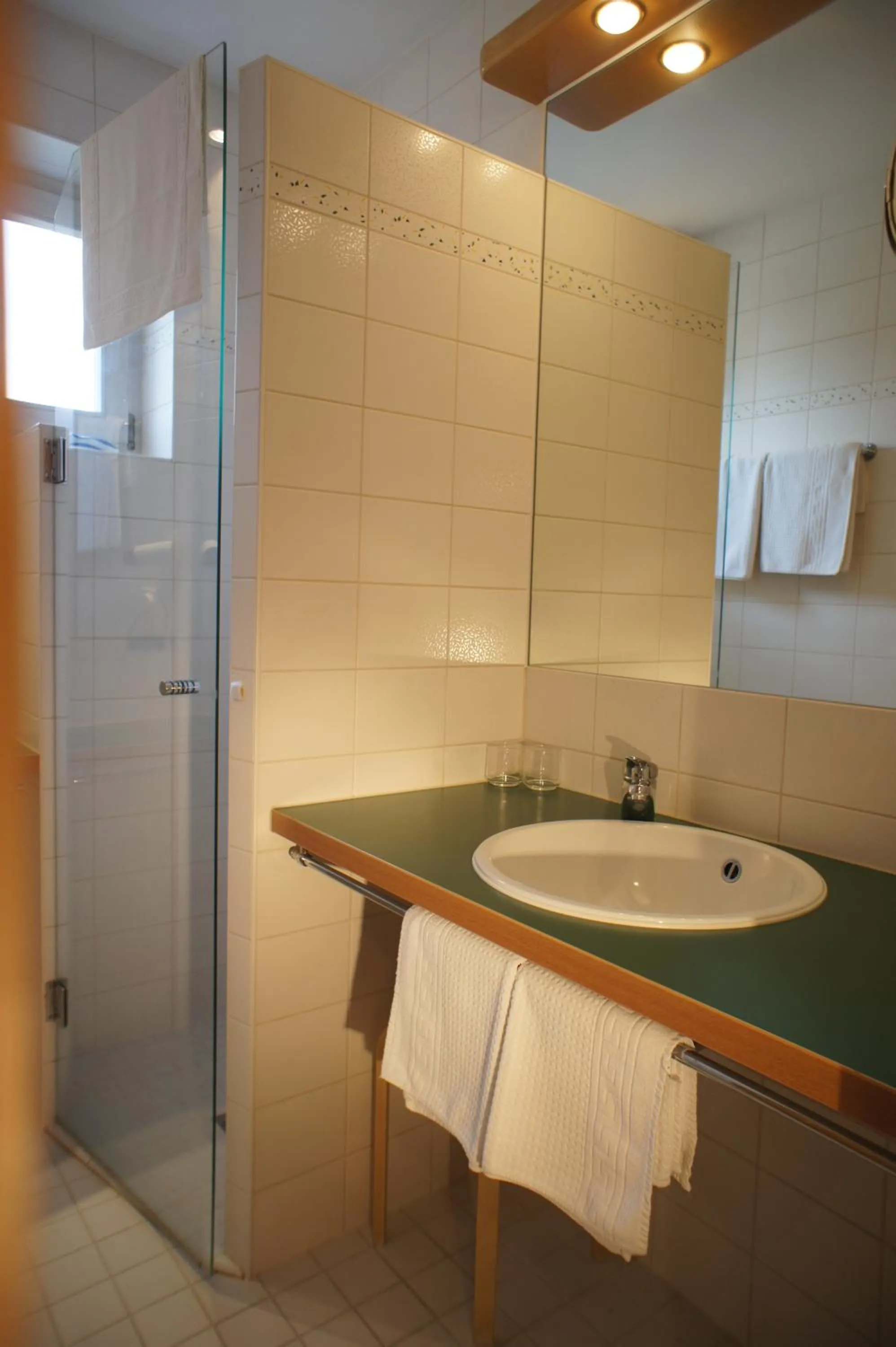 Bathroom in AngerResidenz