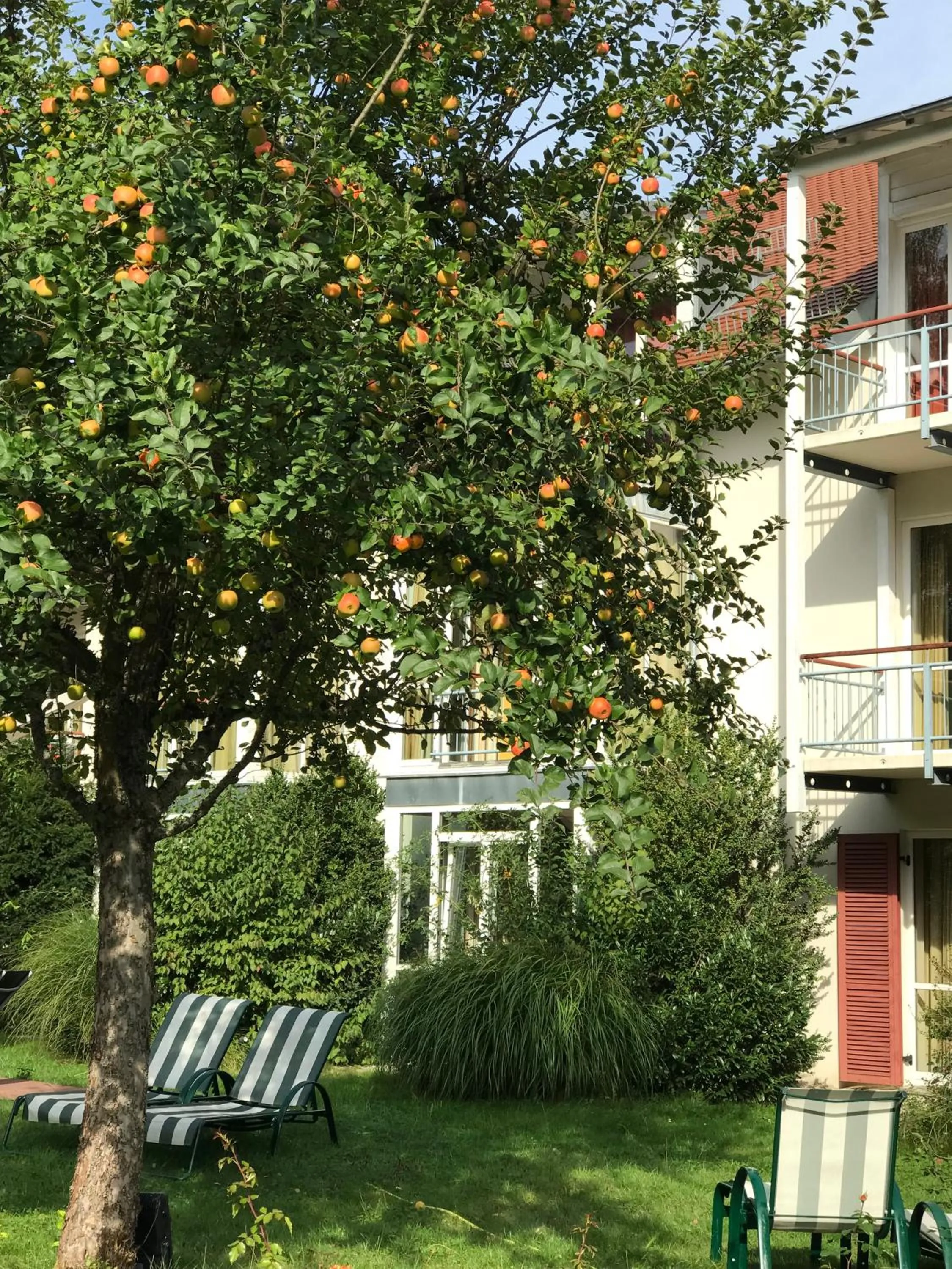 Facade/entrance in AngerResidenz