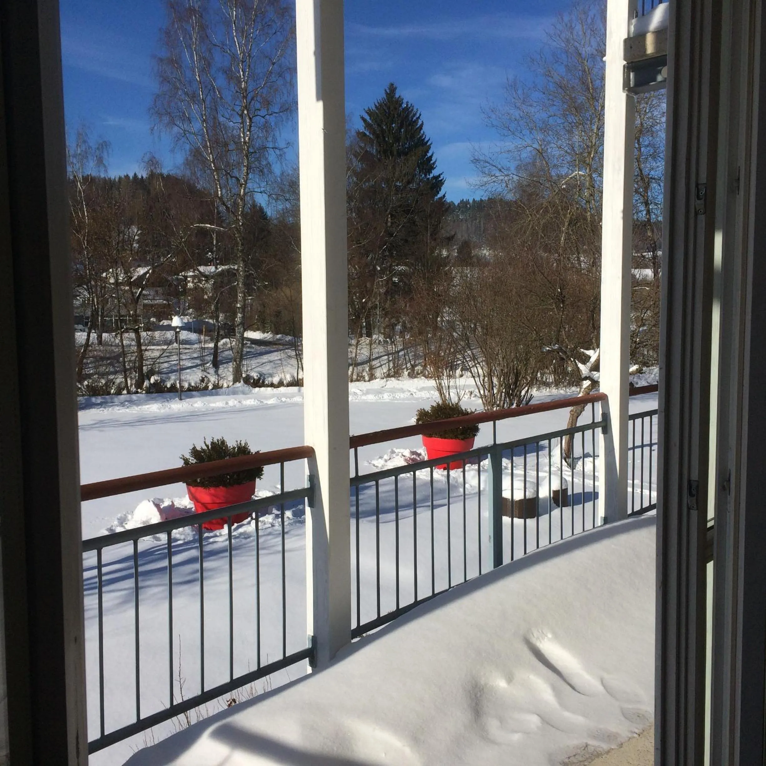 Garden in AngerResidenz