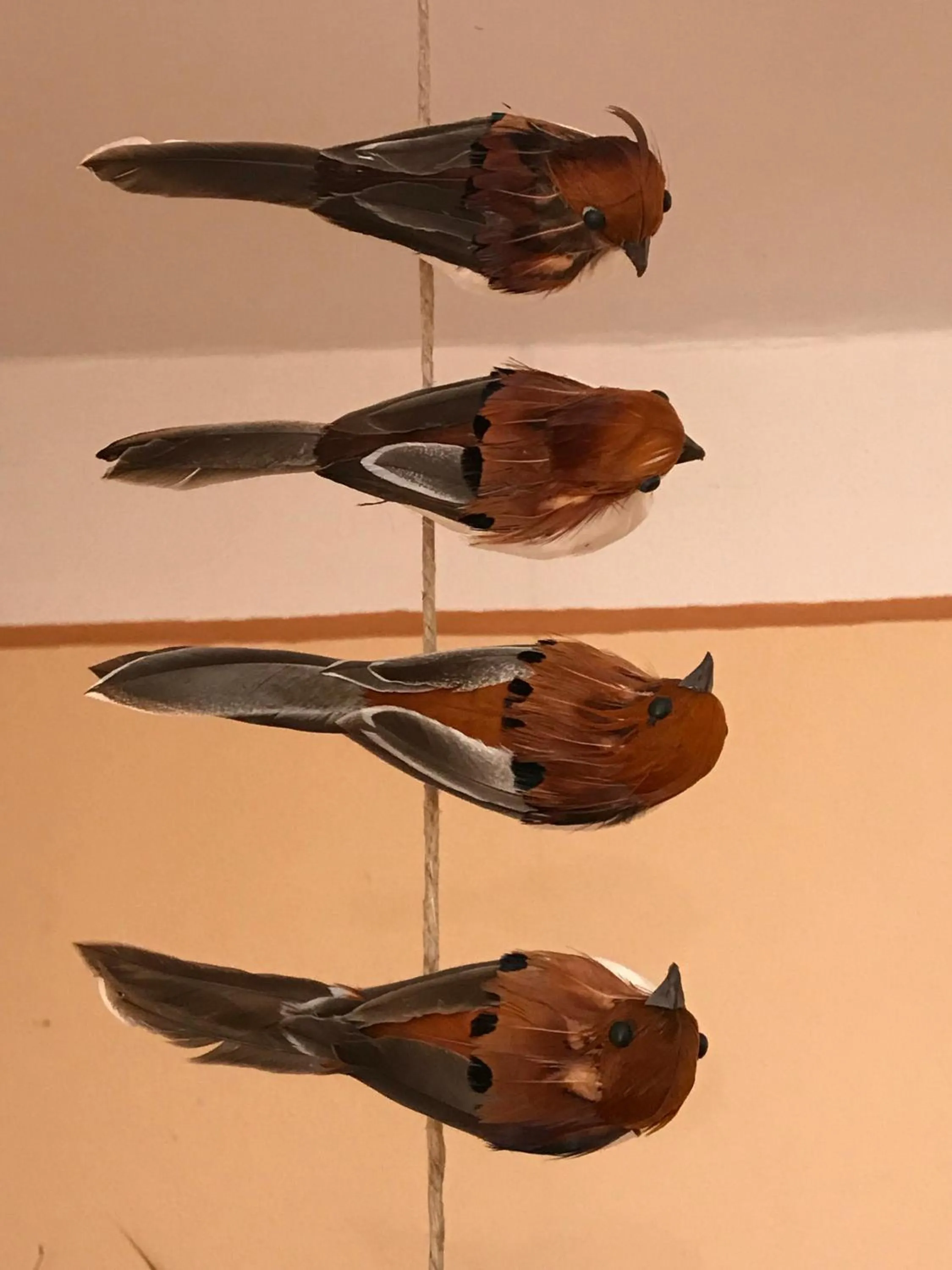 Buffet breakfast in AngerResidenz