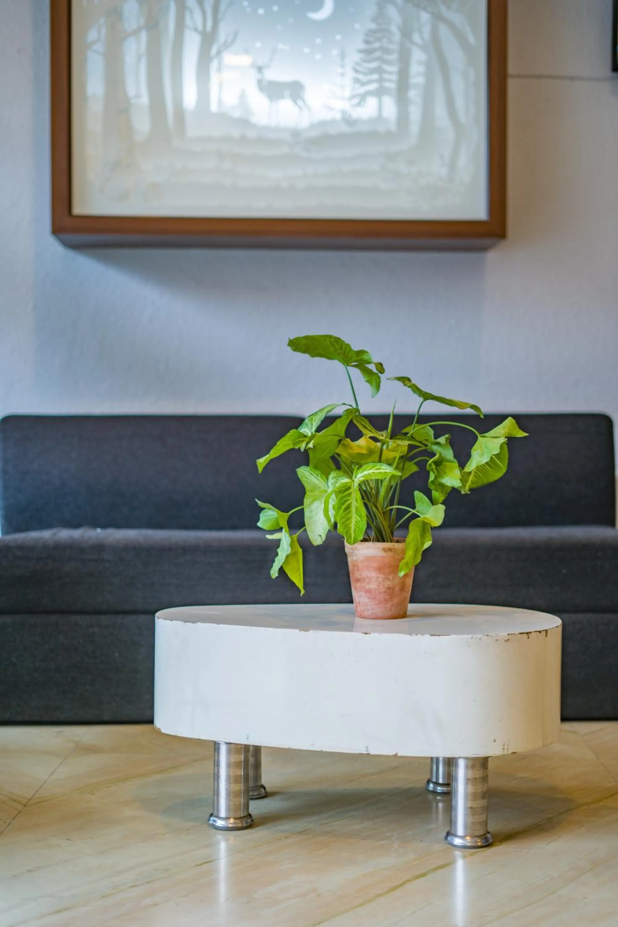 Seating area in Hotel The Shagun