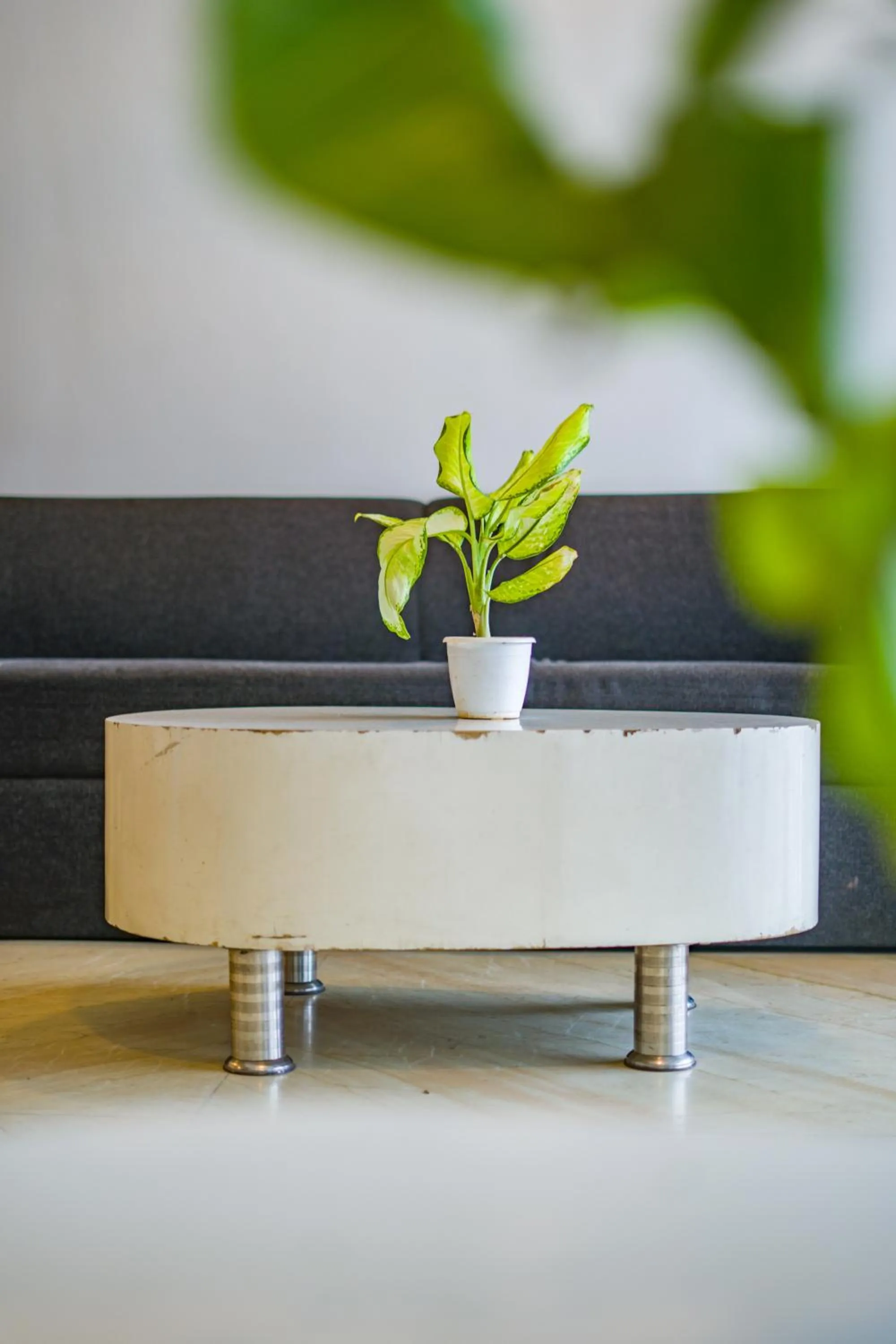 Lobby or reception in Hotel The Shagun