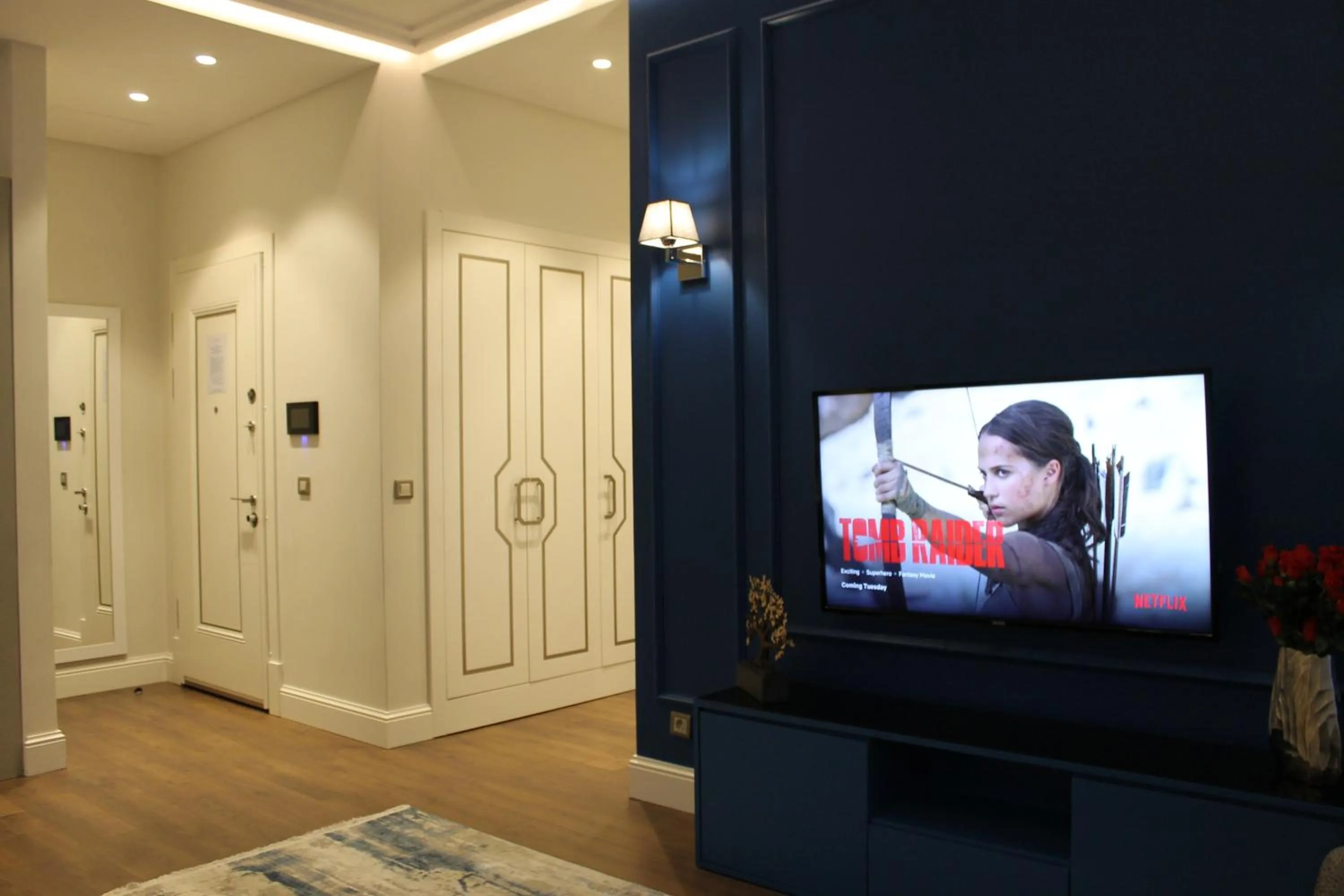 TV and multimedia in Garlon Residence