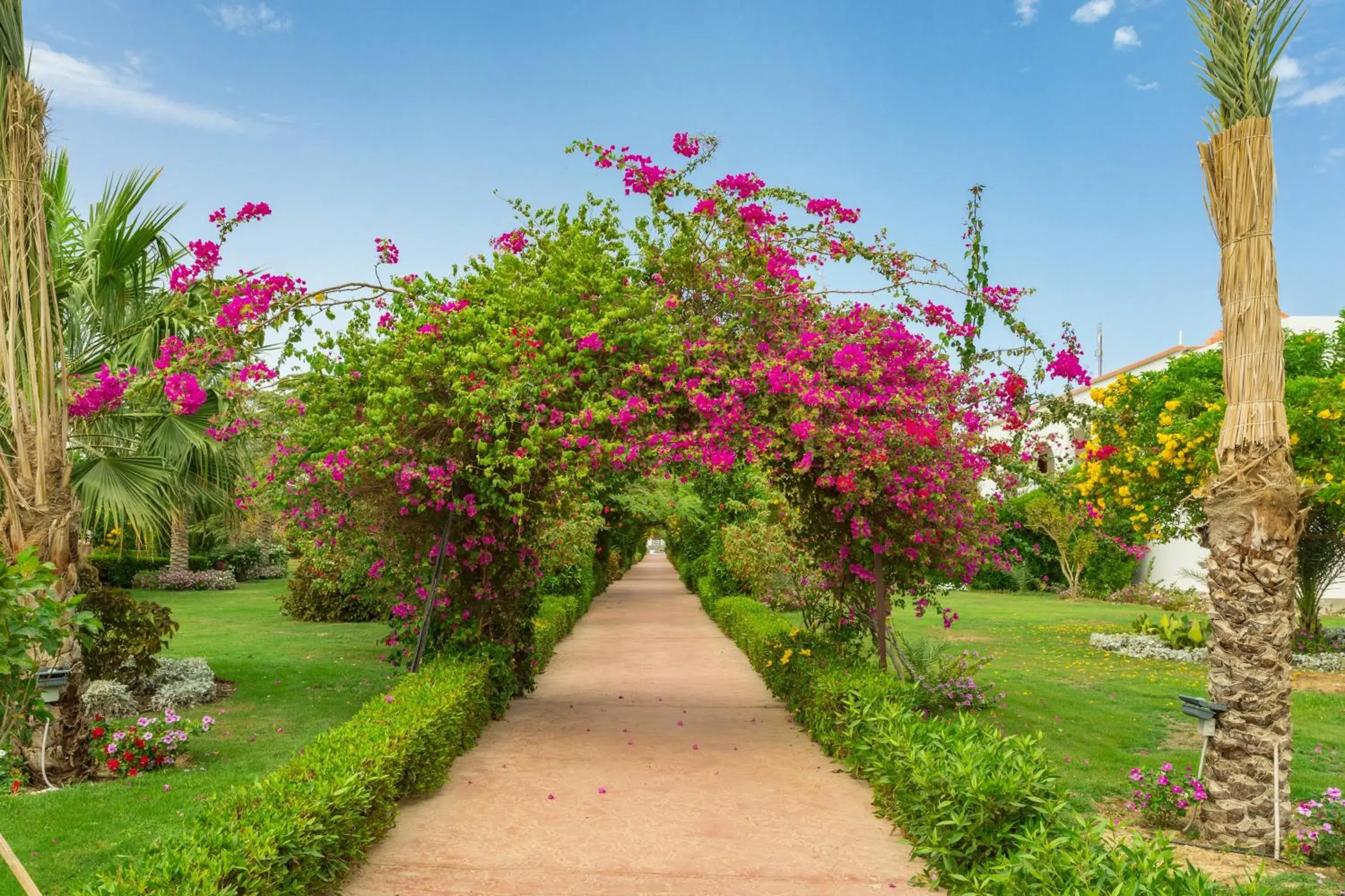 Garden view in Fantazia Resort Marsa Alam Garden view in Fantazia Resort Marsa Alam