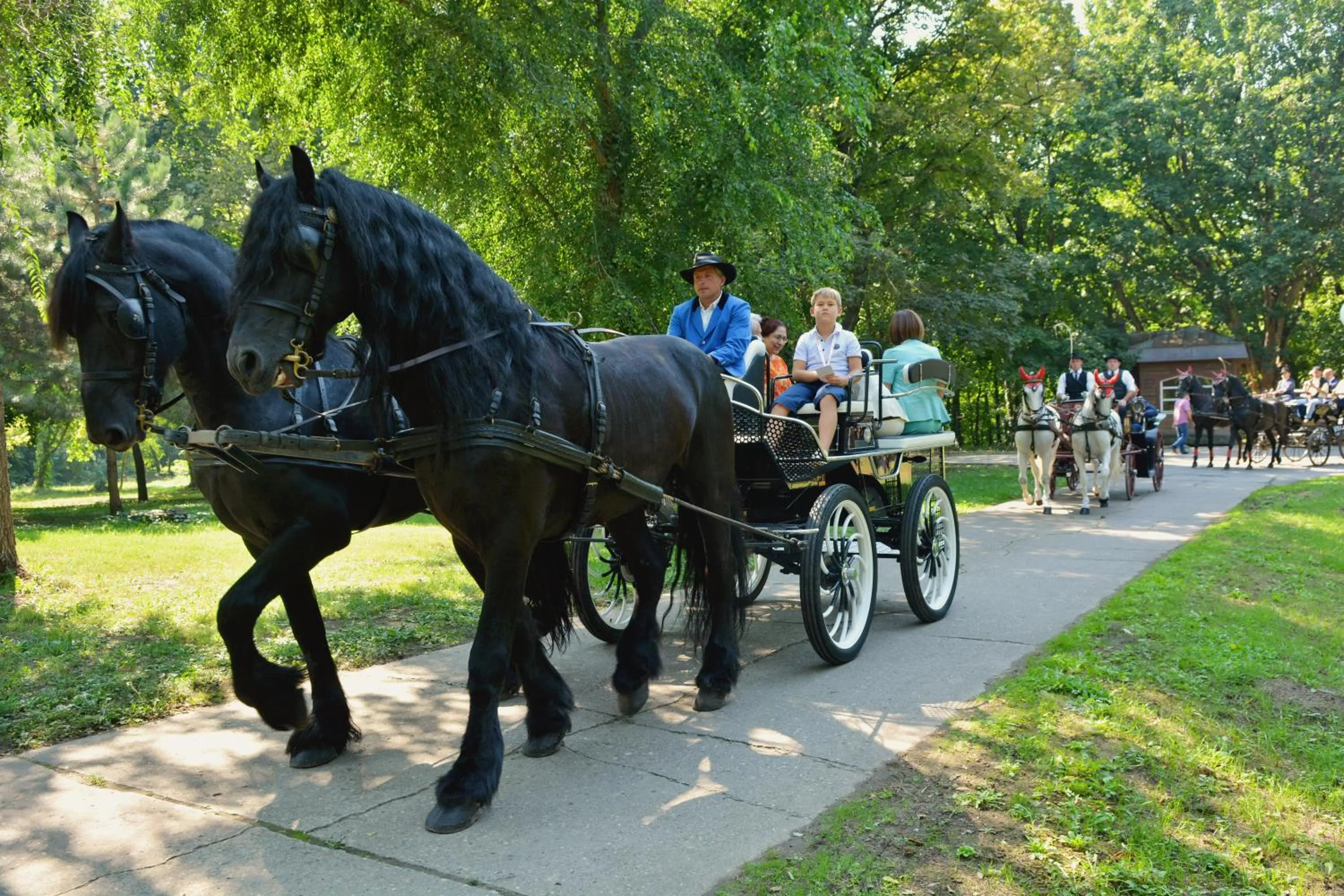 People in Miznah Hotels & Resorts