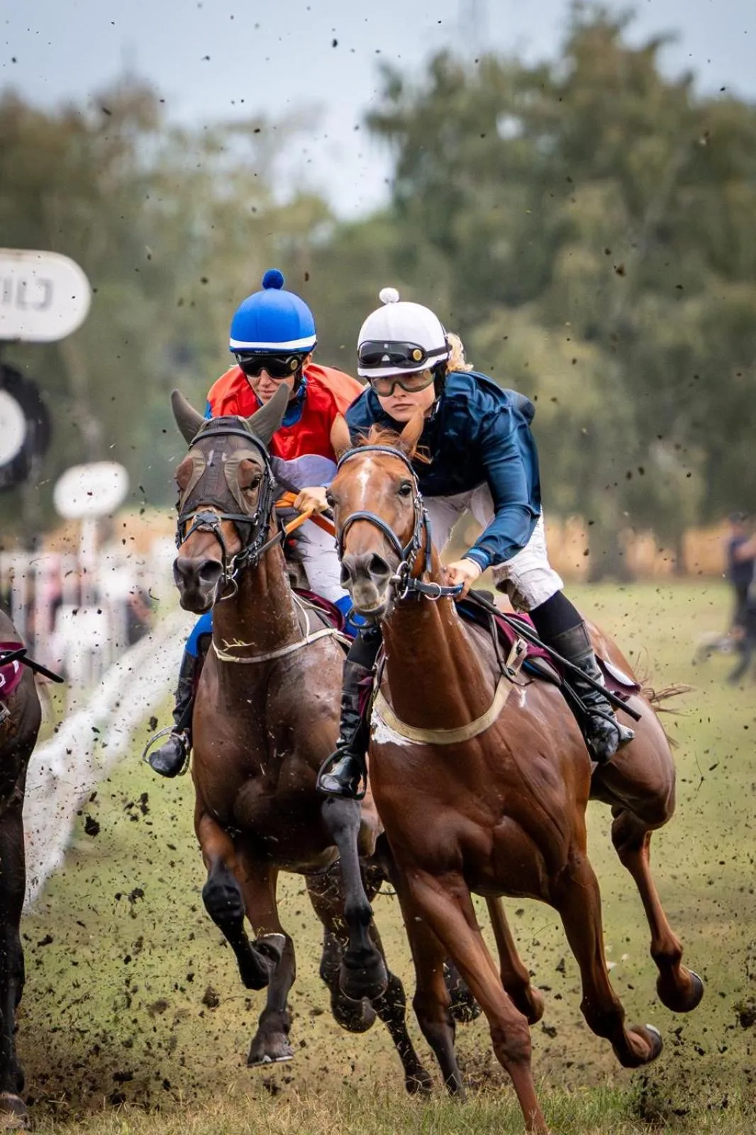 Horse-riding in Miznah Hotels & Resorts