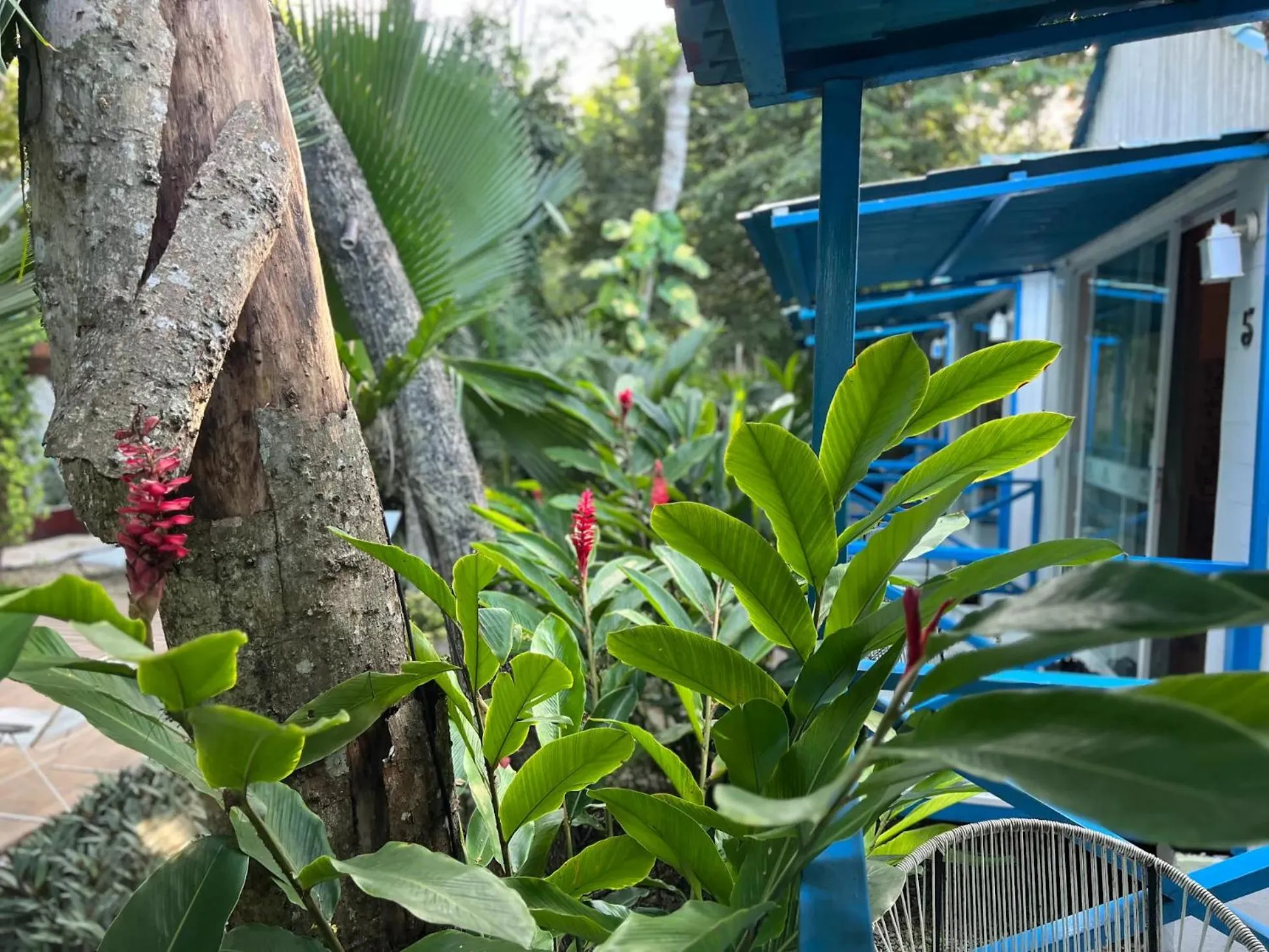 Seating area in Zensus Eco Boutique Hotel