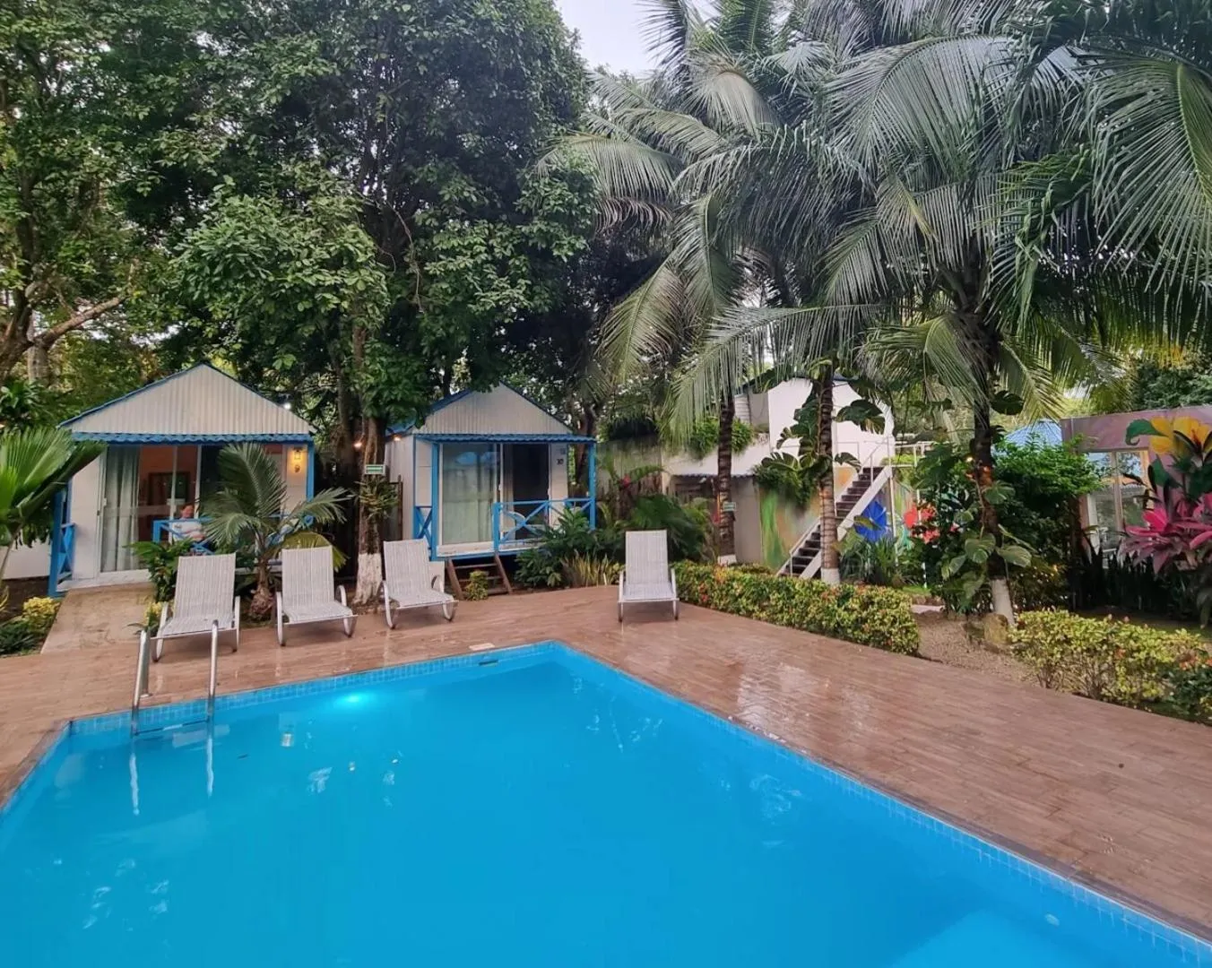Pool view in Zensus Eco Boutique Hotel