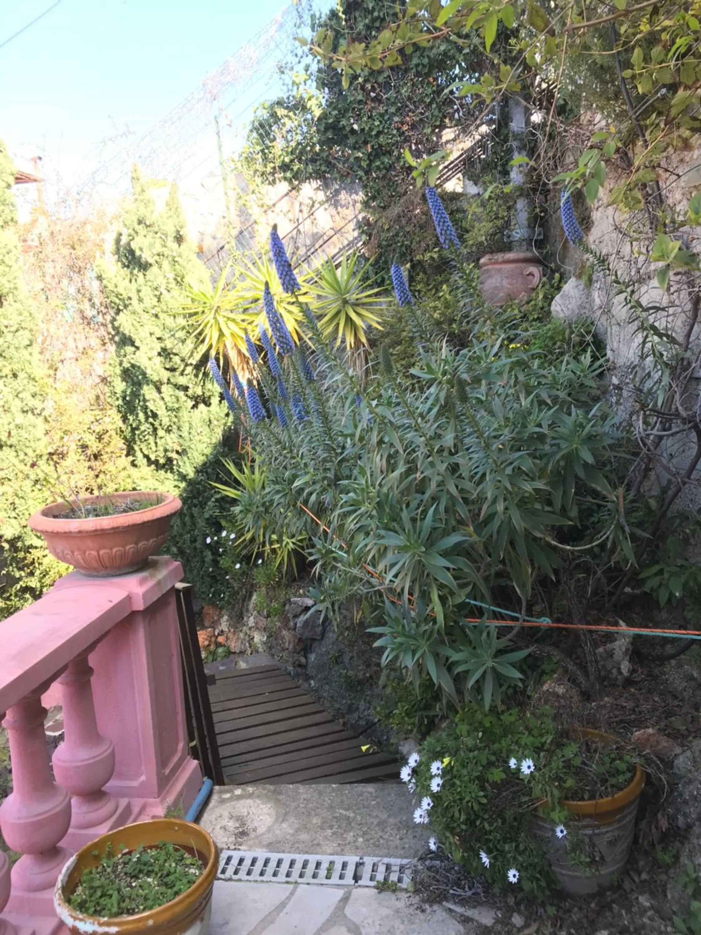 Villa-Gaby villa entière et piscine