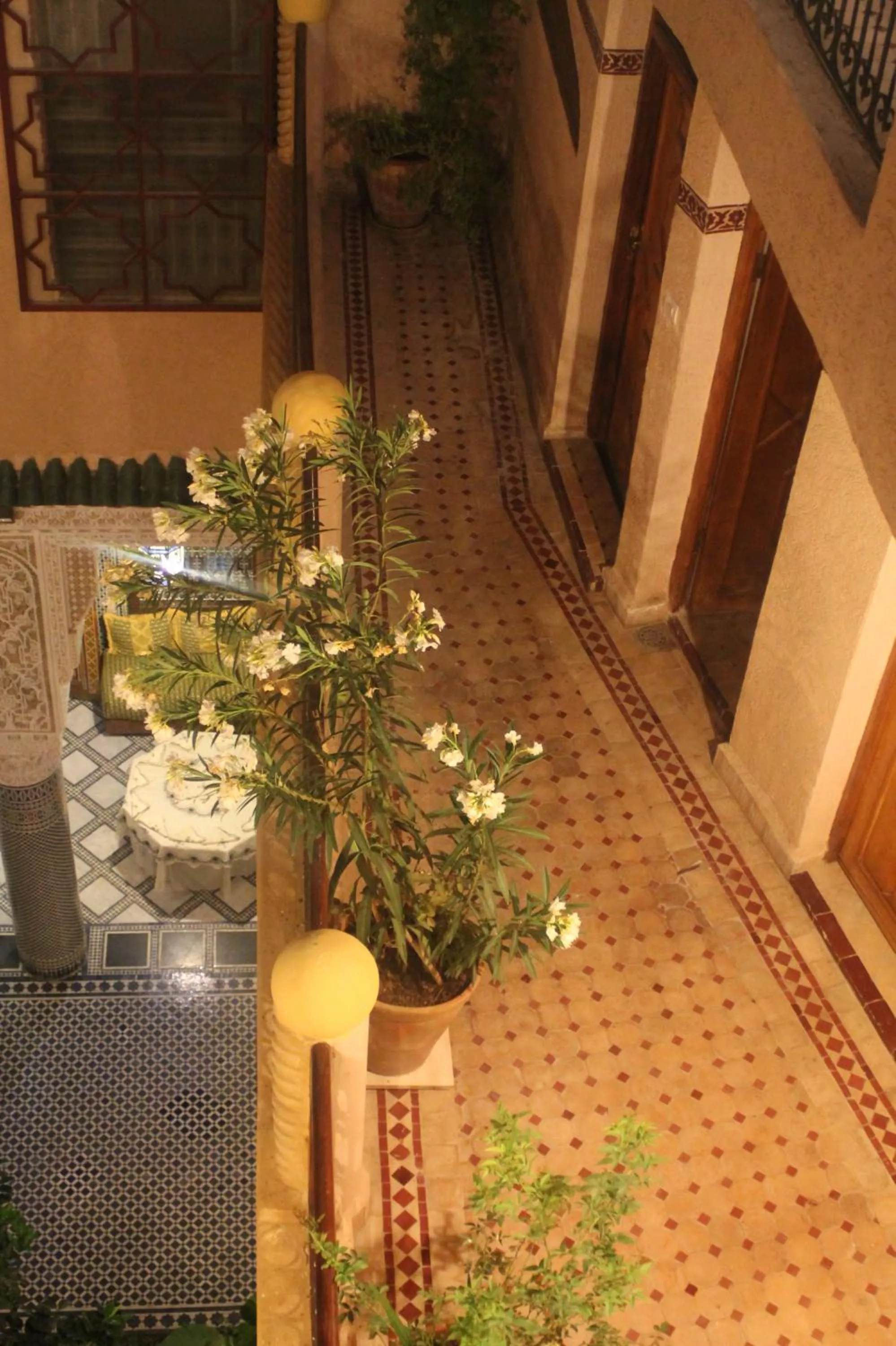 Spring in Riad Les Chrifis Navette Aéroport 24 sur 24