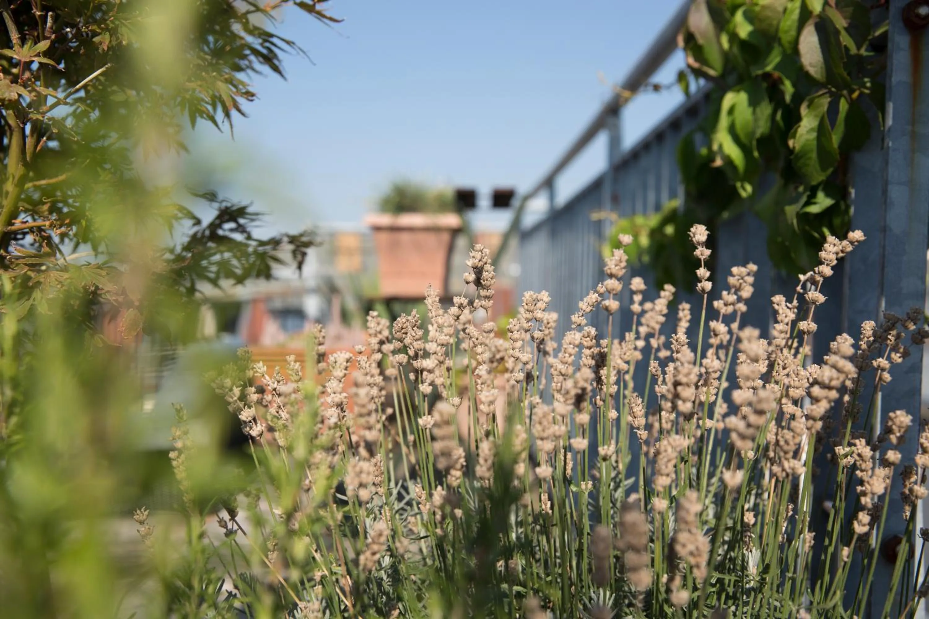 Decorative detail in Hotel Art Nouveau am Kurfürstendamm