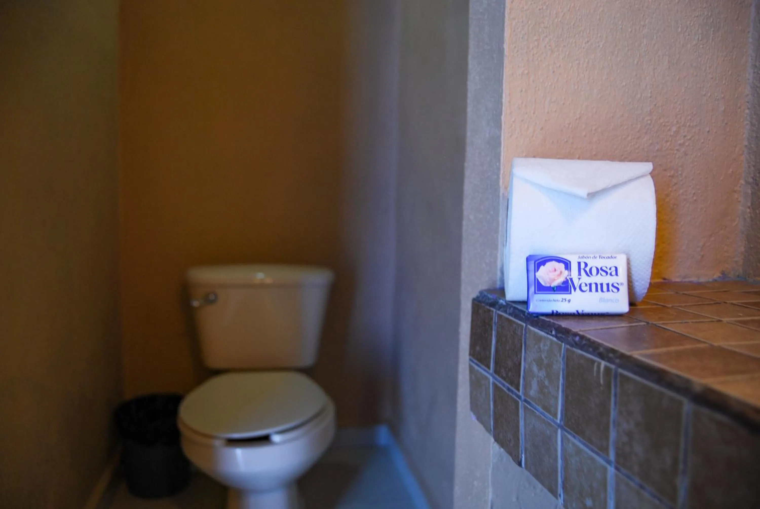 Toilet in Hotel Platino