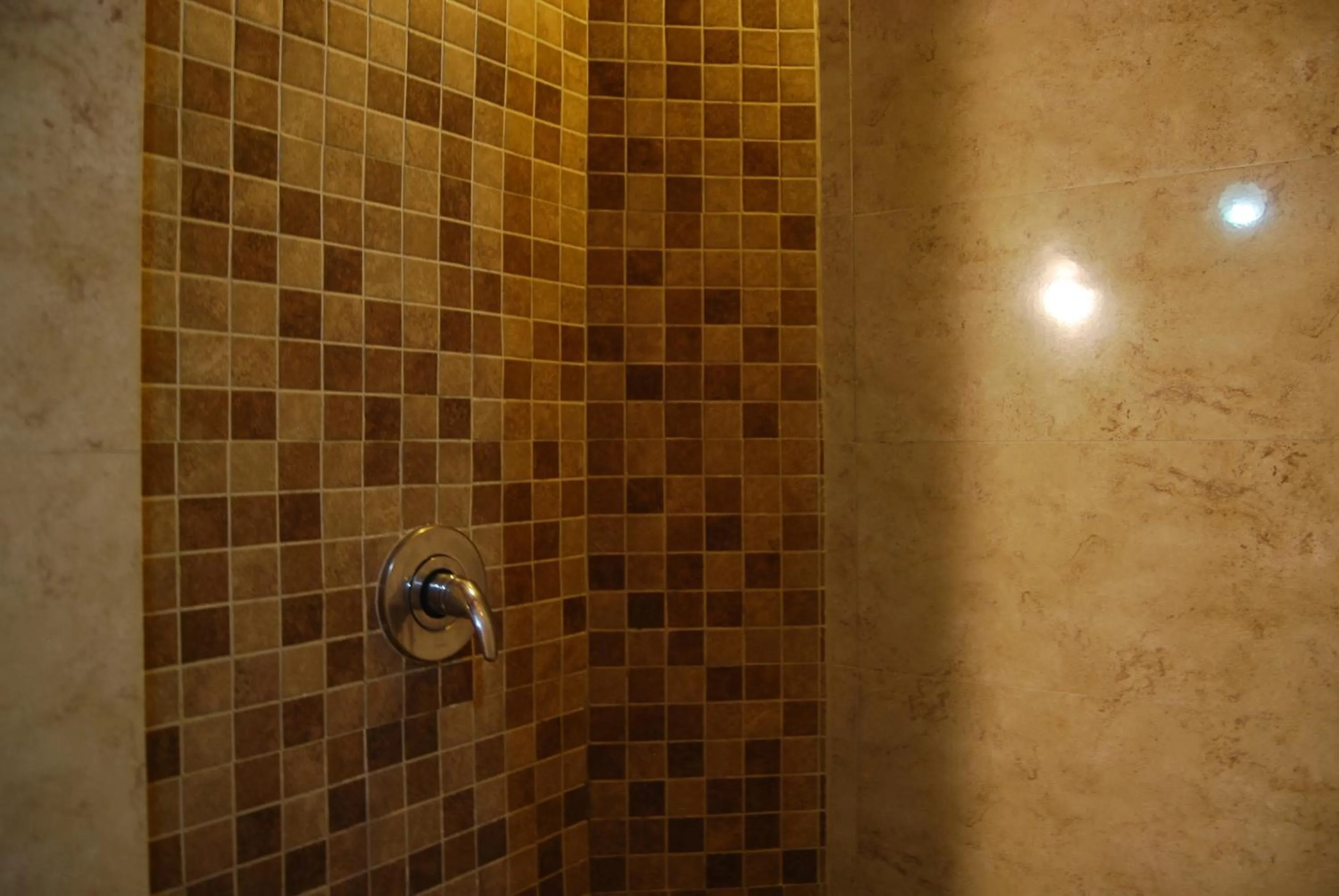 Bathroom in Hotel Platino