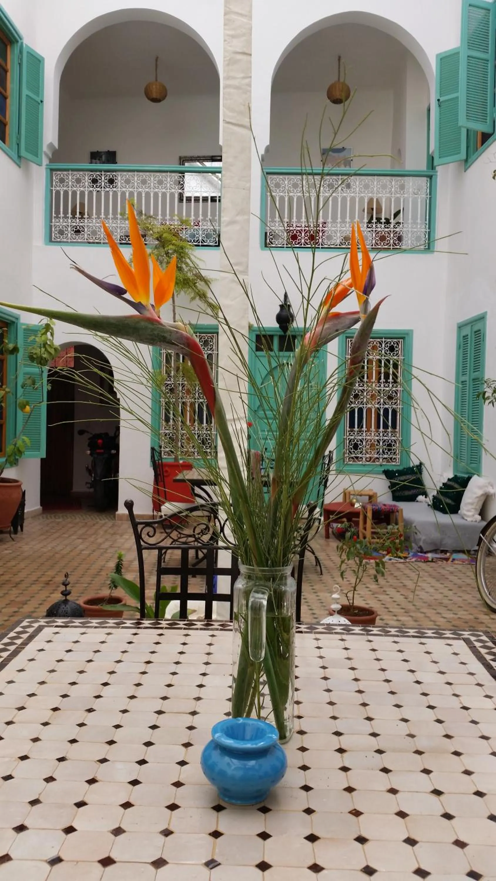 Garden in Riad Dar Aida