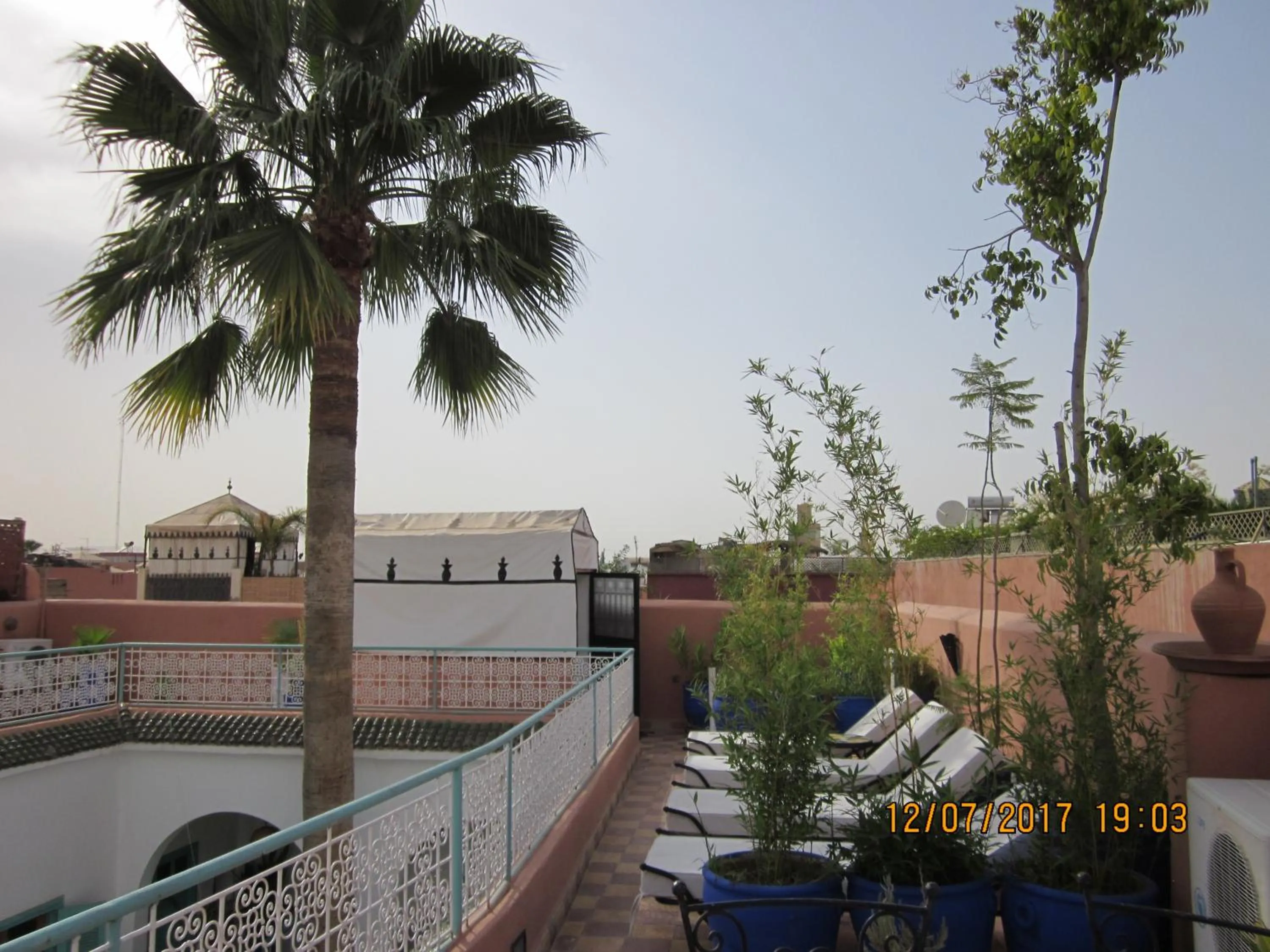Spring in Riad Dar Aida