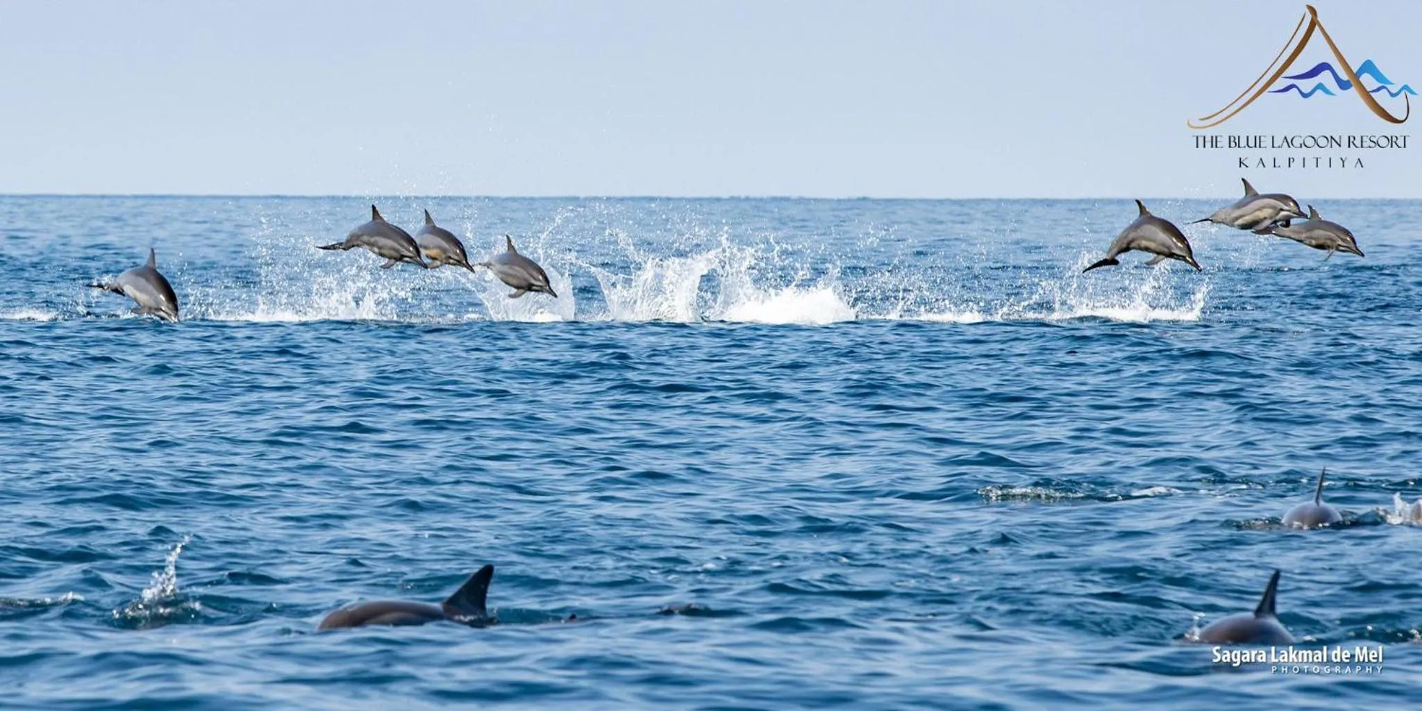 Natural landscape in The Blue Lagoon Resort Kalpitiya