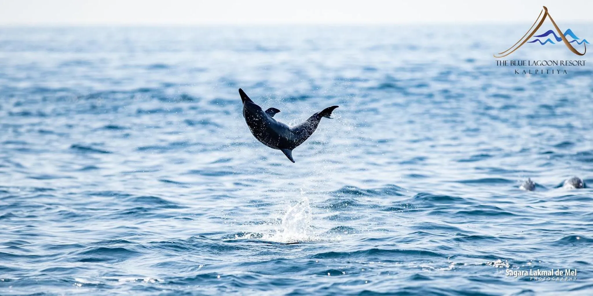 People in The Blue Lagoon Resort Kalpitiya