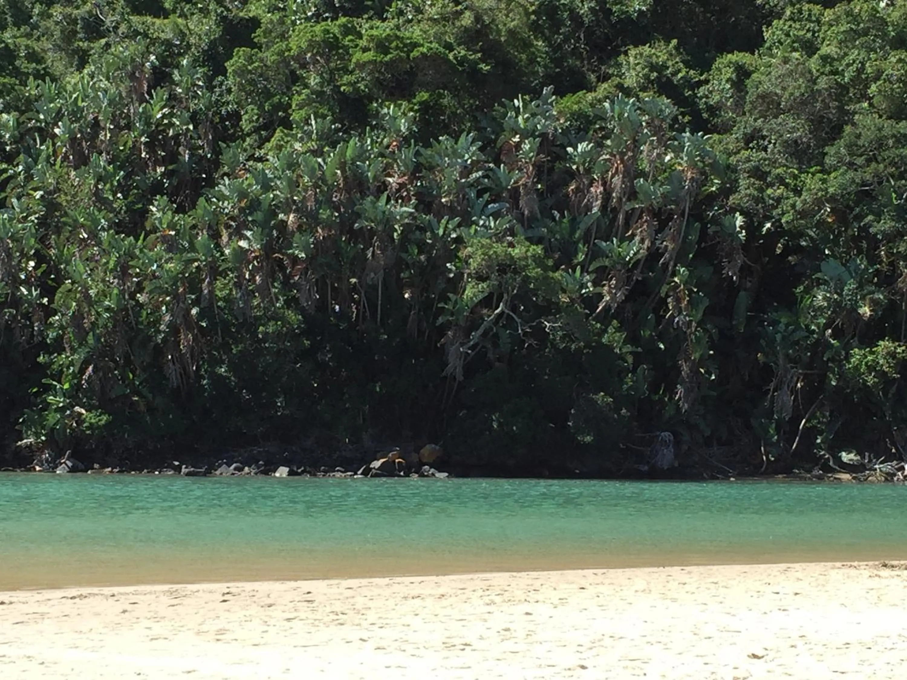 Beach in Ocean Dreams B&B
