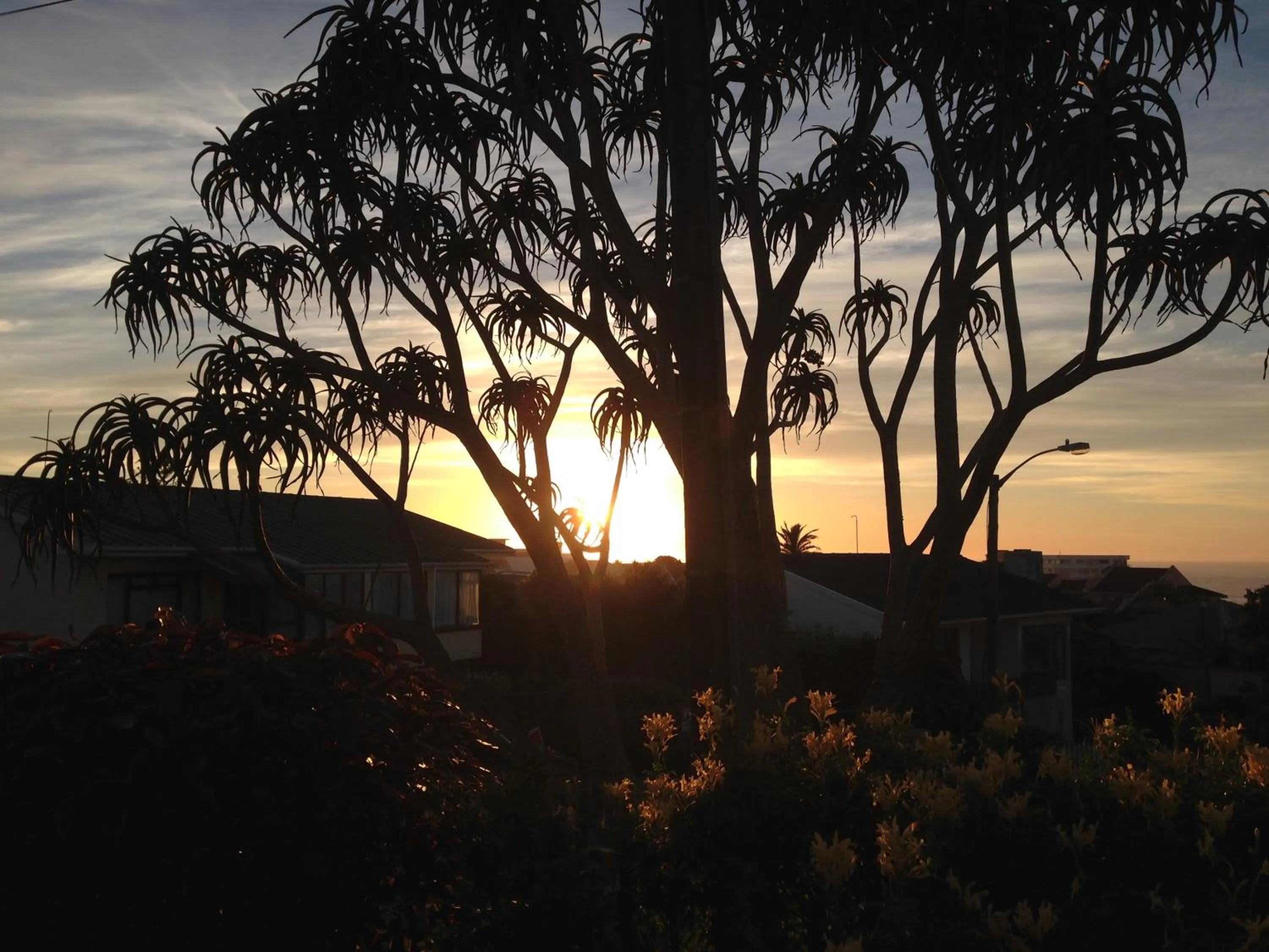 Sunrise in Ocean Dreams B&B