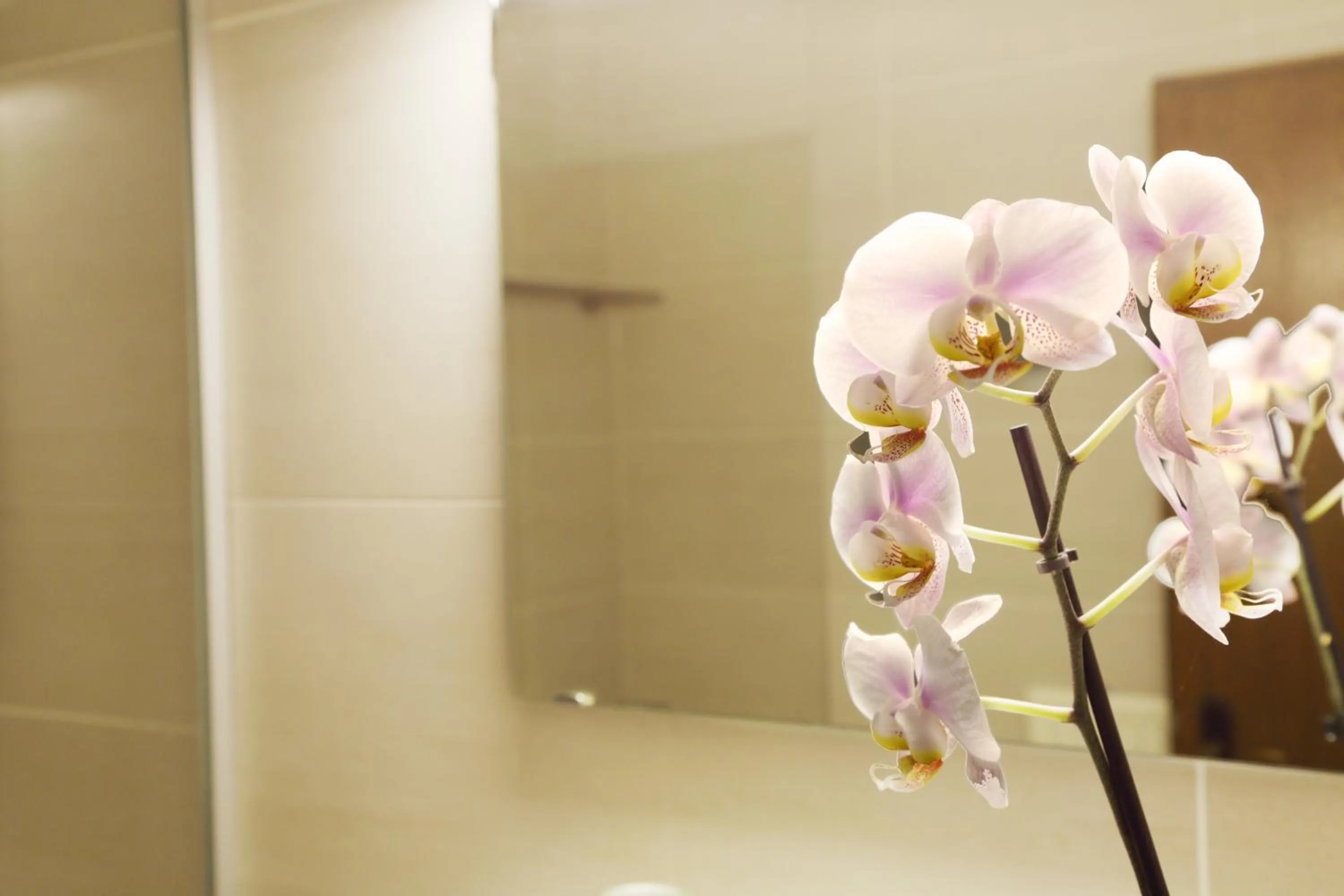 Landgasthof Baumgartner