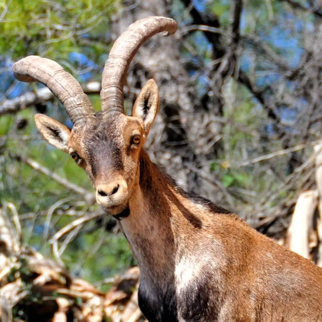 Villa Otivar - Rio Verde