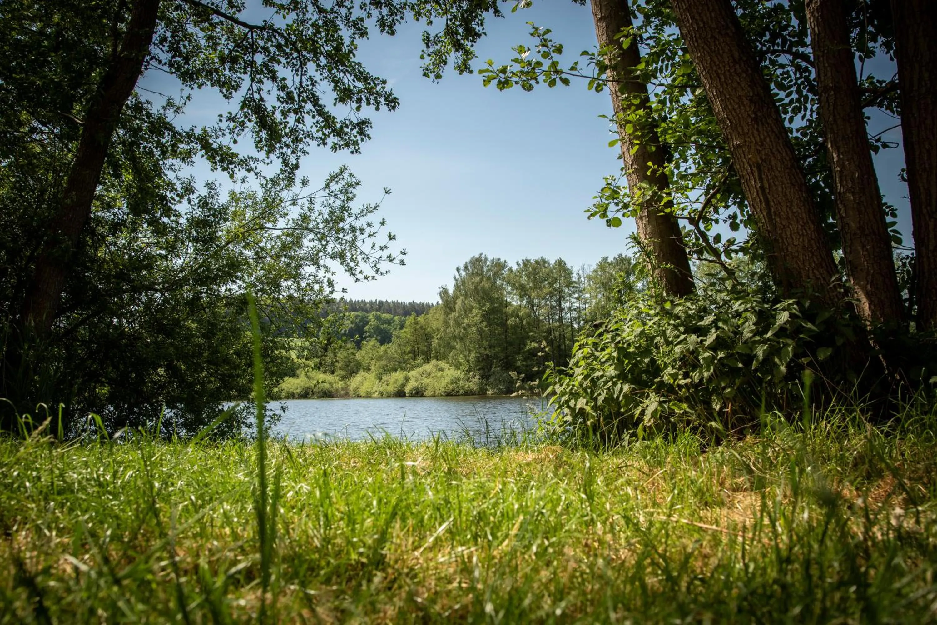 Hotel Russweiher