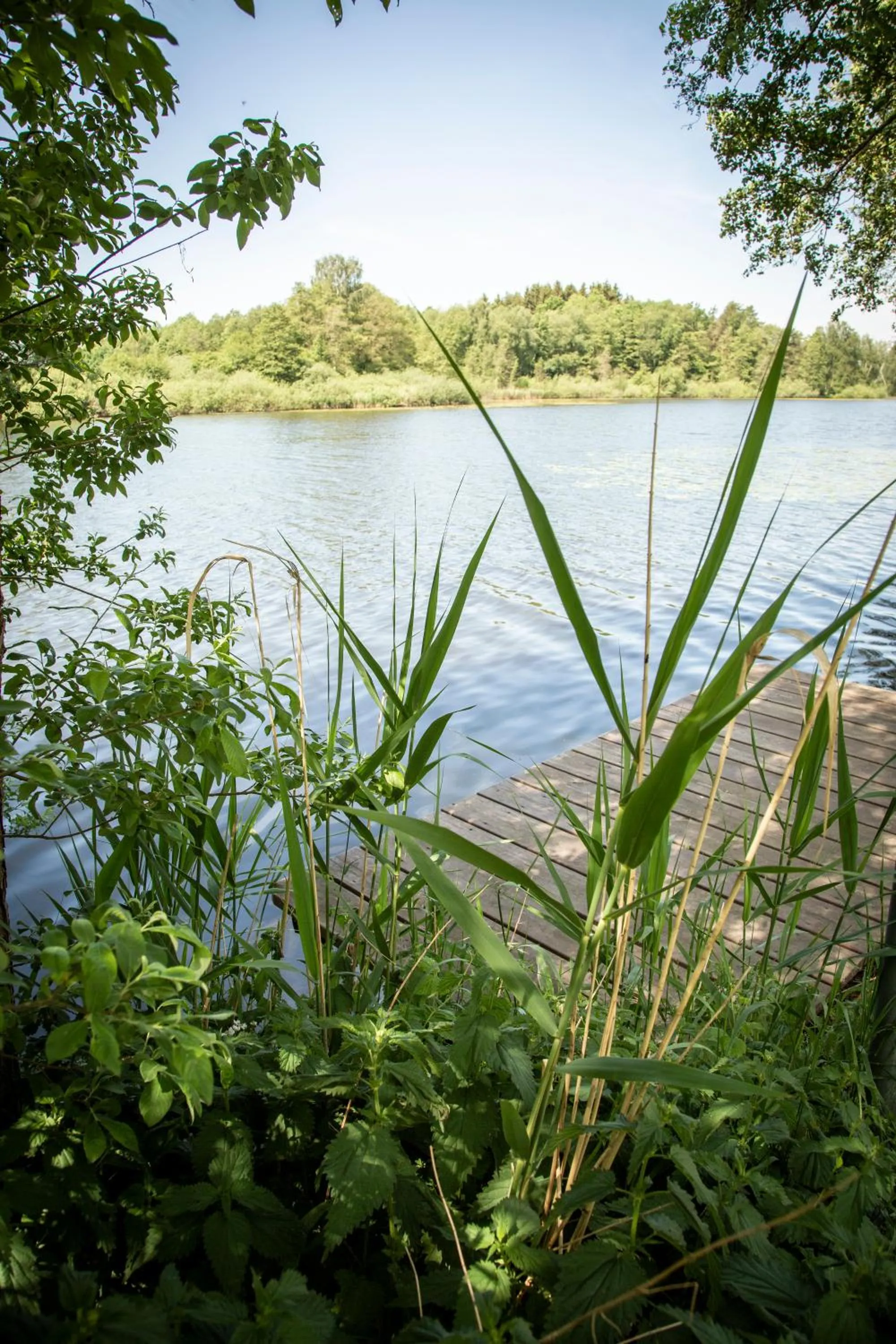 Hotel Russweiher