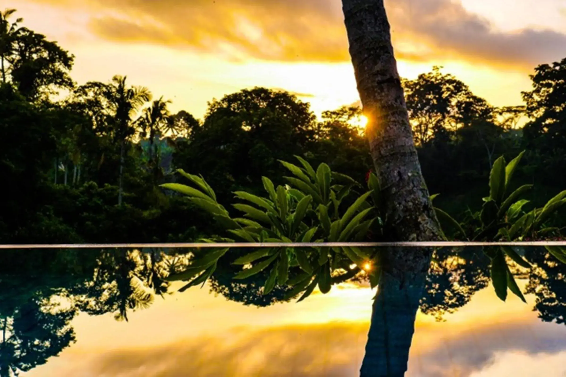 Swimming pool in Kupu Kupu Private Villa Swimming pool in Kupu Kupu Private Villa