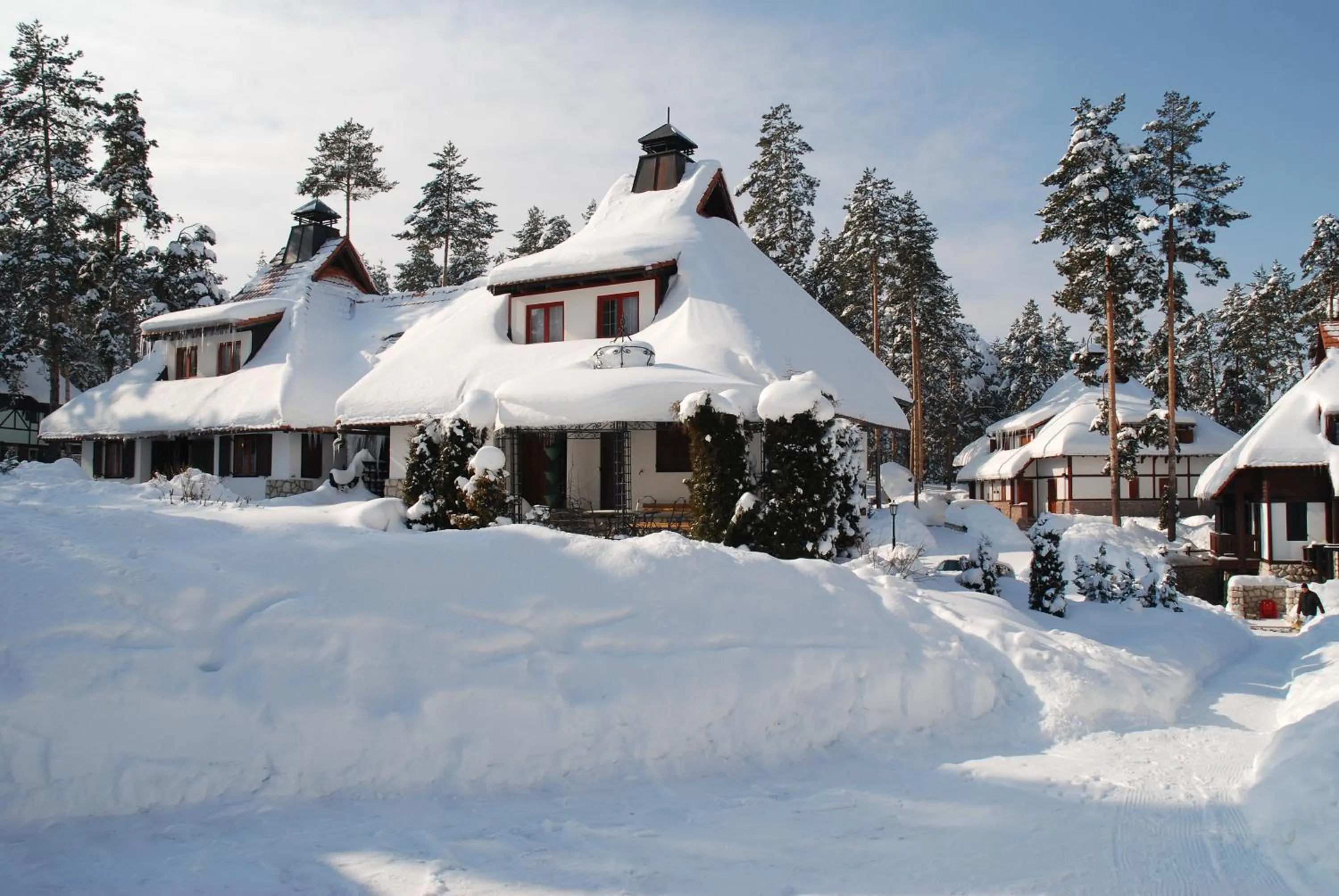 Winter in KRALjEVI KONACI ZLATIBOR