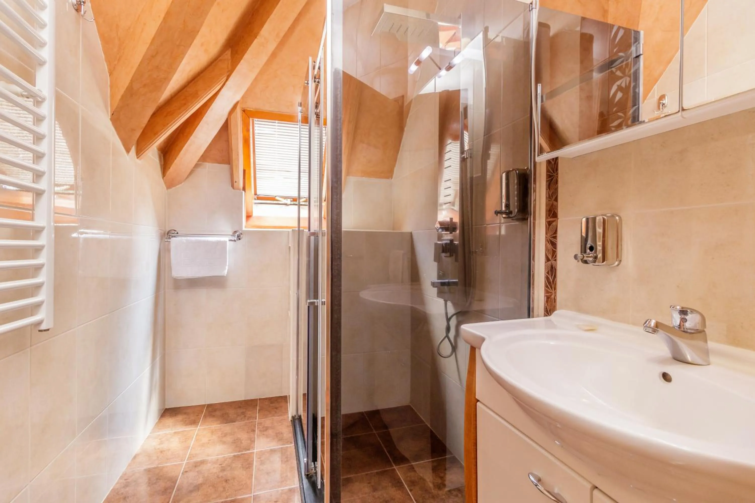 Shower in KRALjEVI KONACI ZLATIBOR