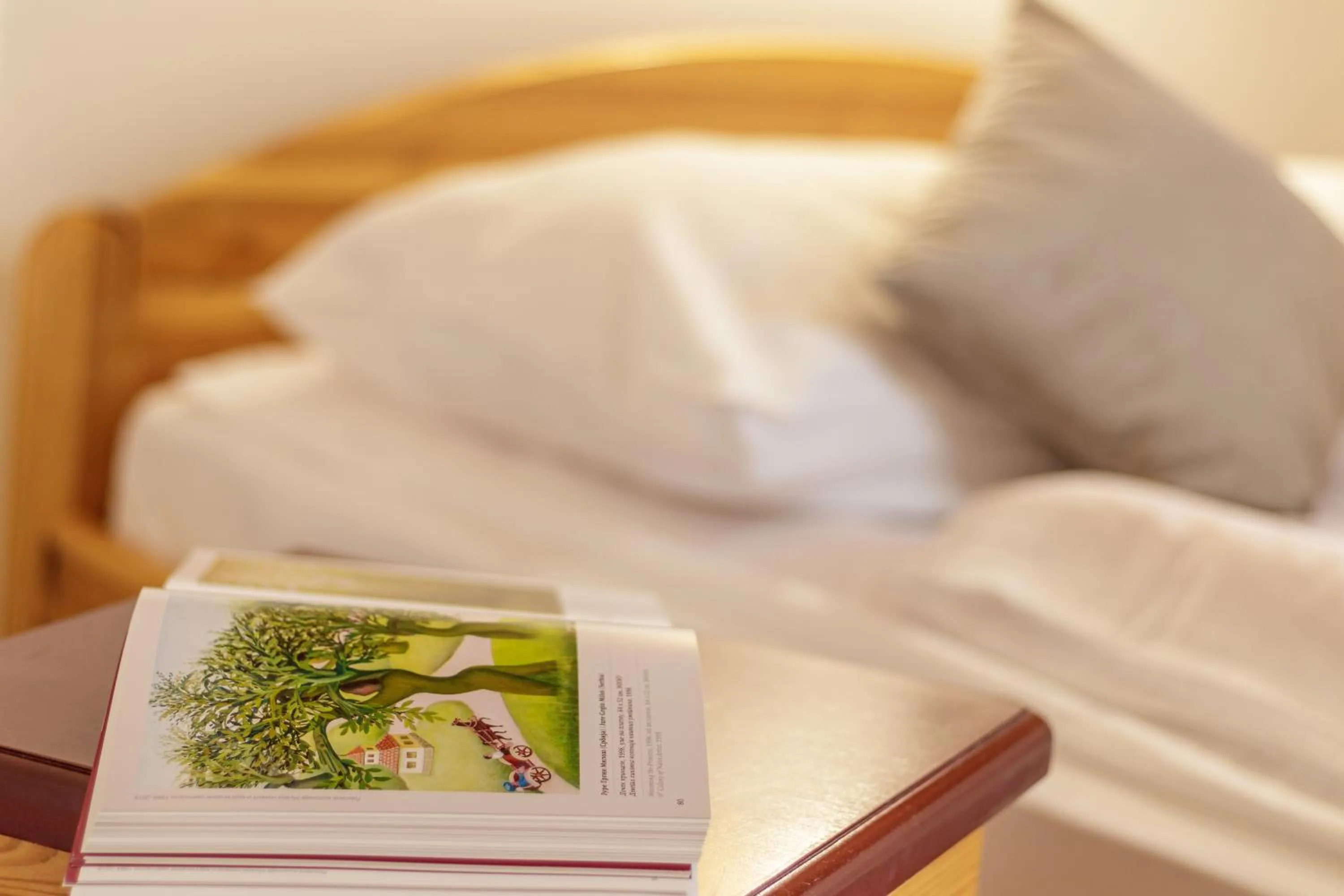 Bed in KRALjEVI KONACI ZLATIBOR