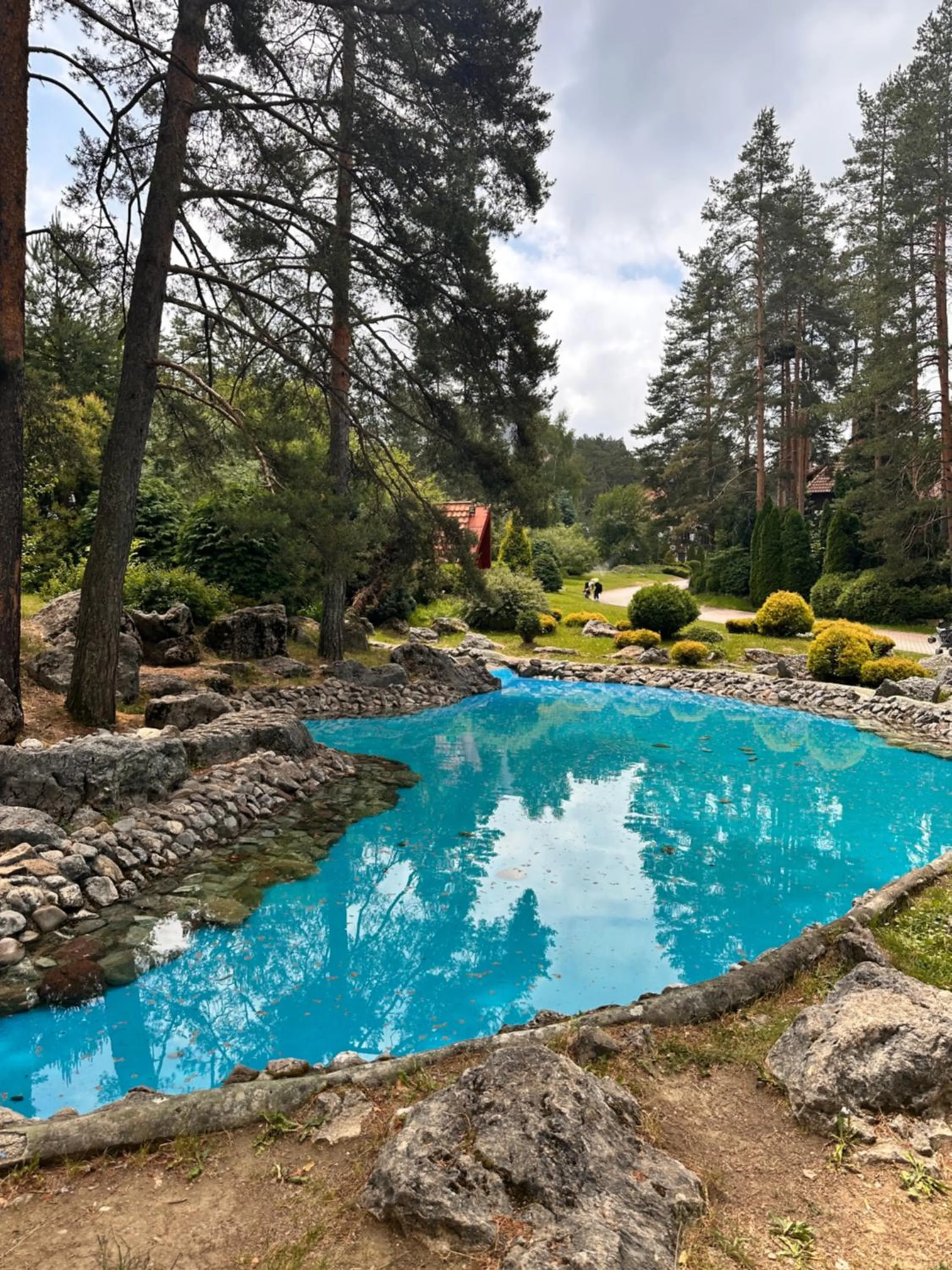 Garden in KRALjEVI KONACI ZLATIBOR
