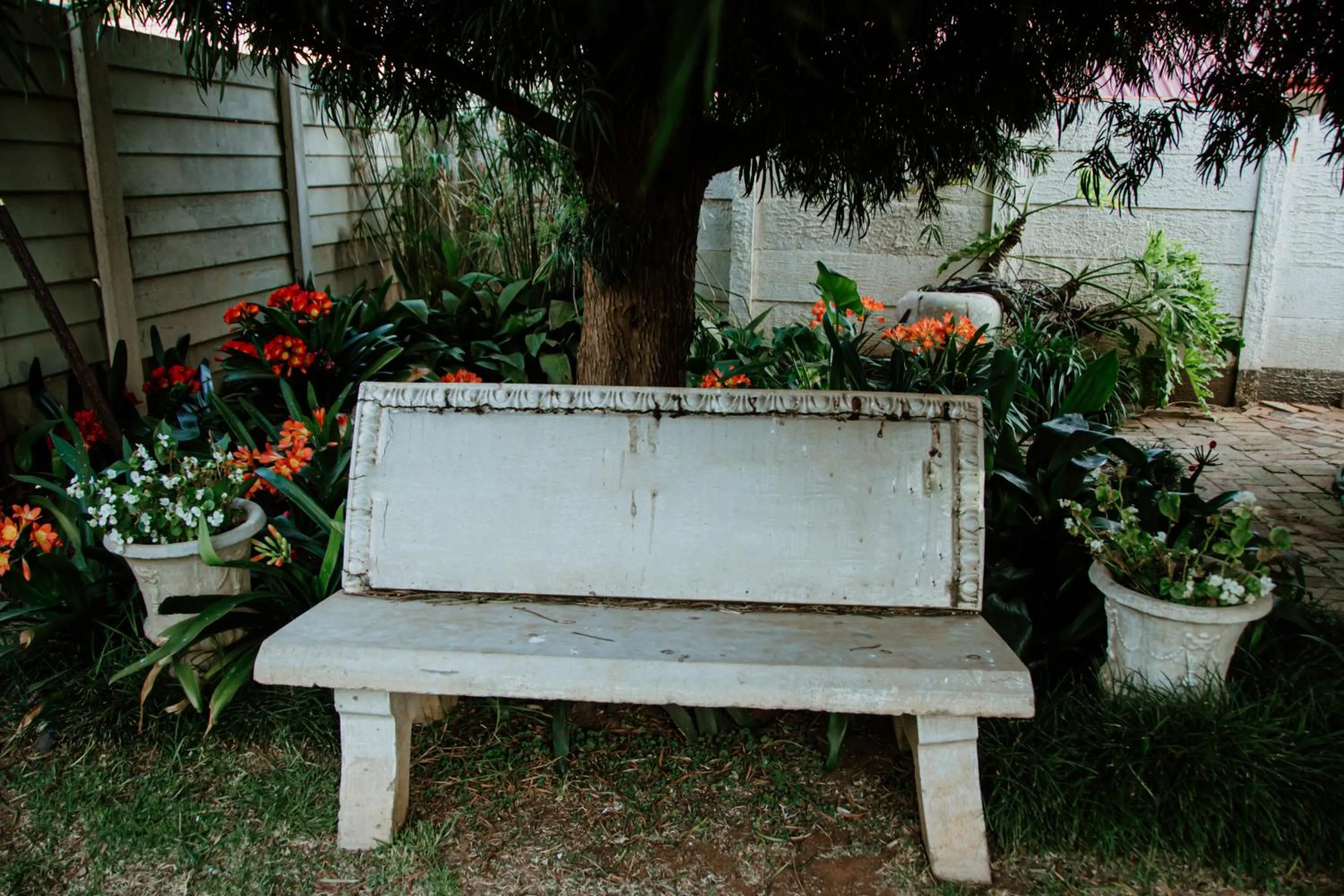 Garden in Alec Wright's Guest Lodge