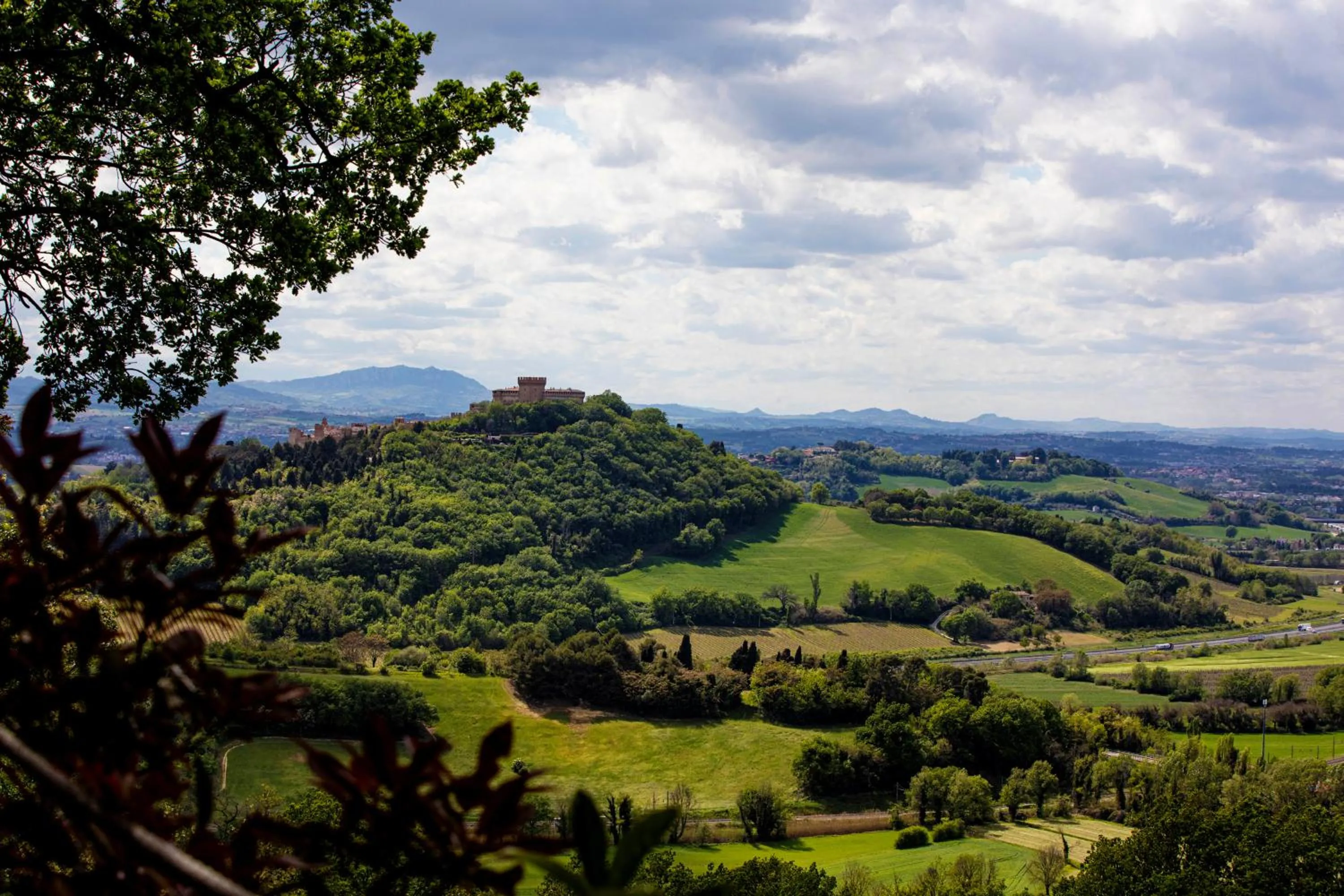 View (from property/room) in Castello di Granarola Relais - Adults Friendly -