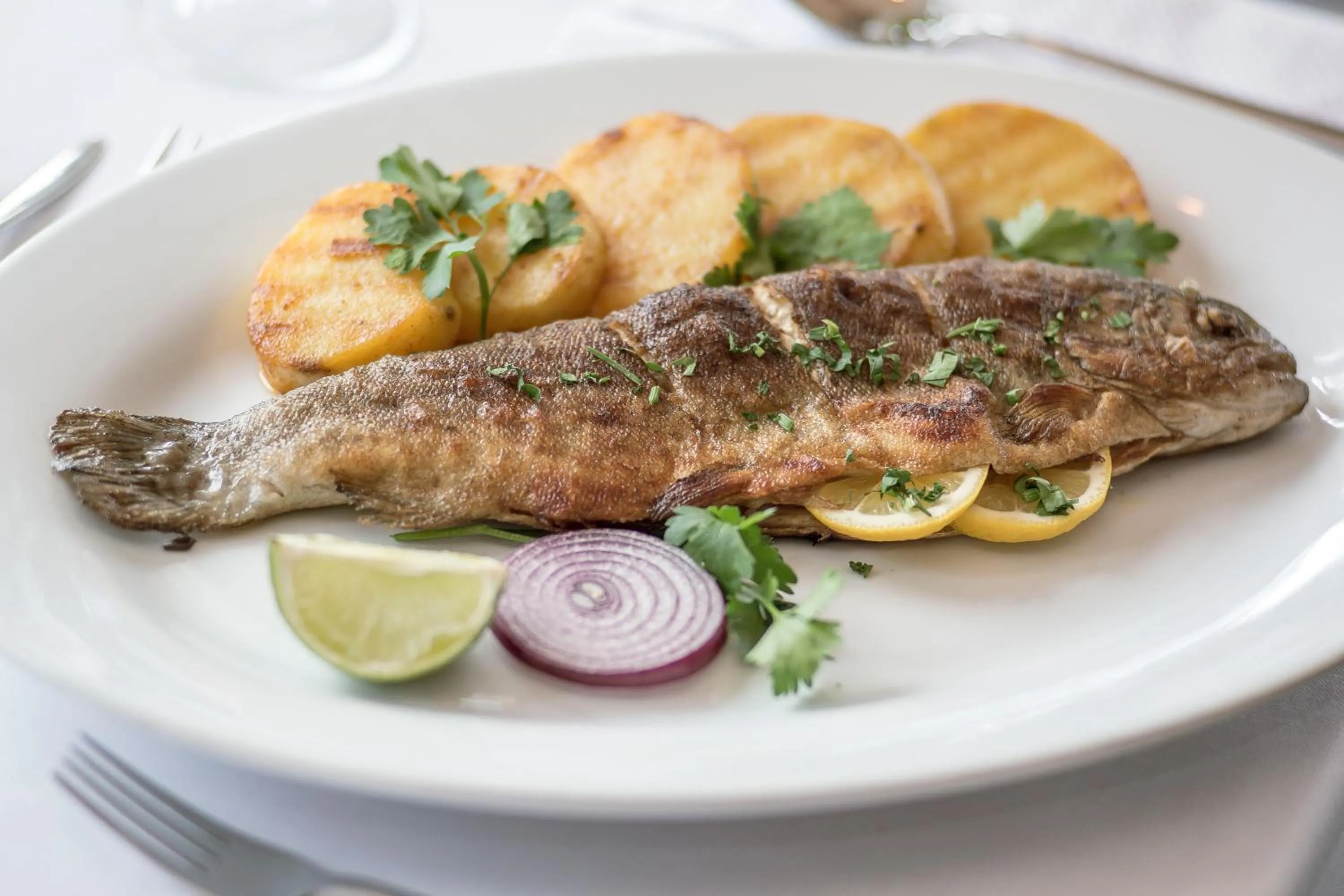 Restaurant/places to eat in Hotel Semitronix