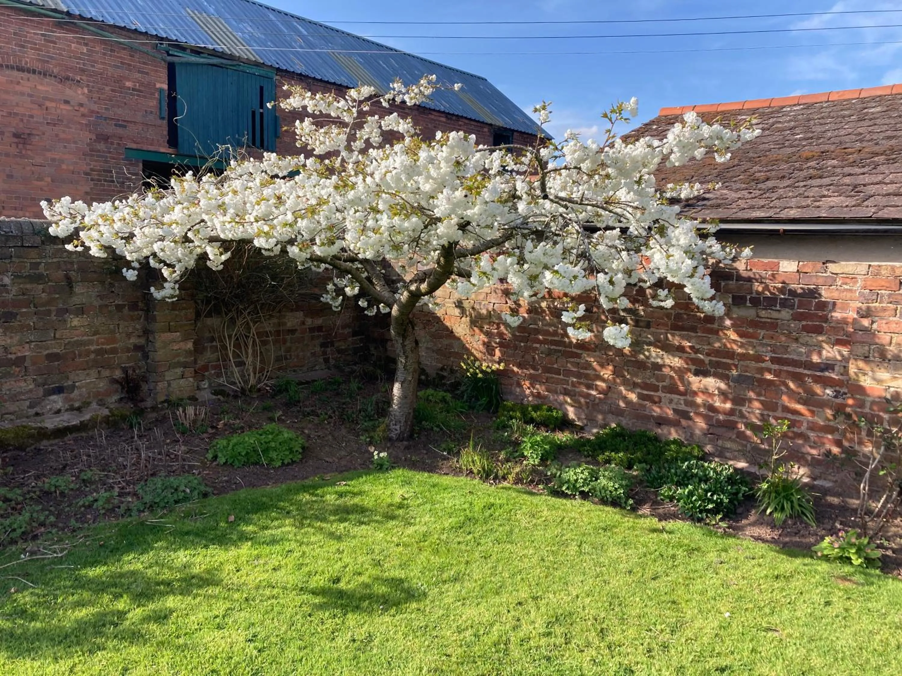 Garden in Church Farm B&B near Telford and Ironbridge