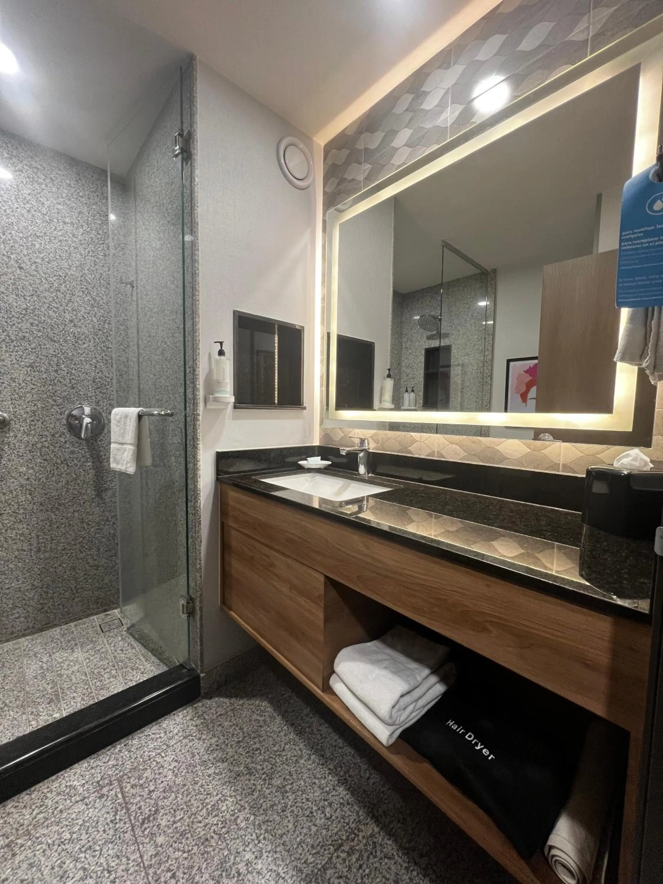Bathroom in Hampton by Hilton Aguascalientes Downtown