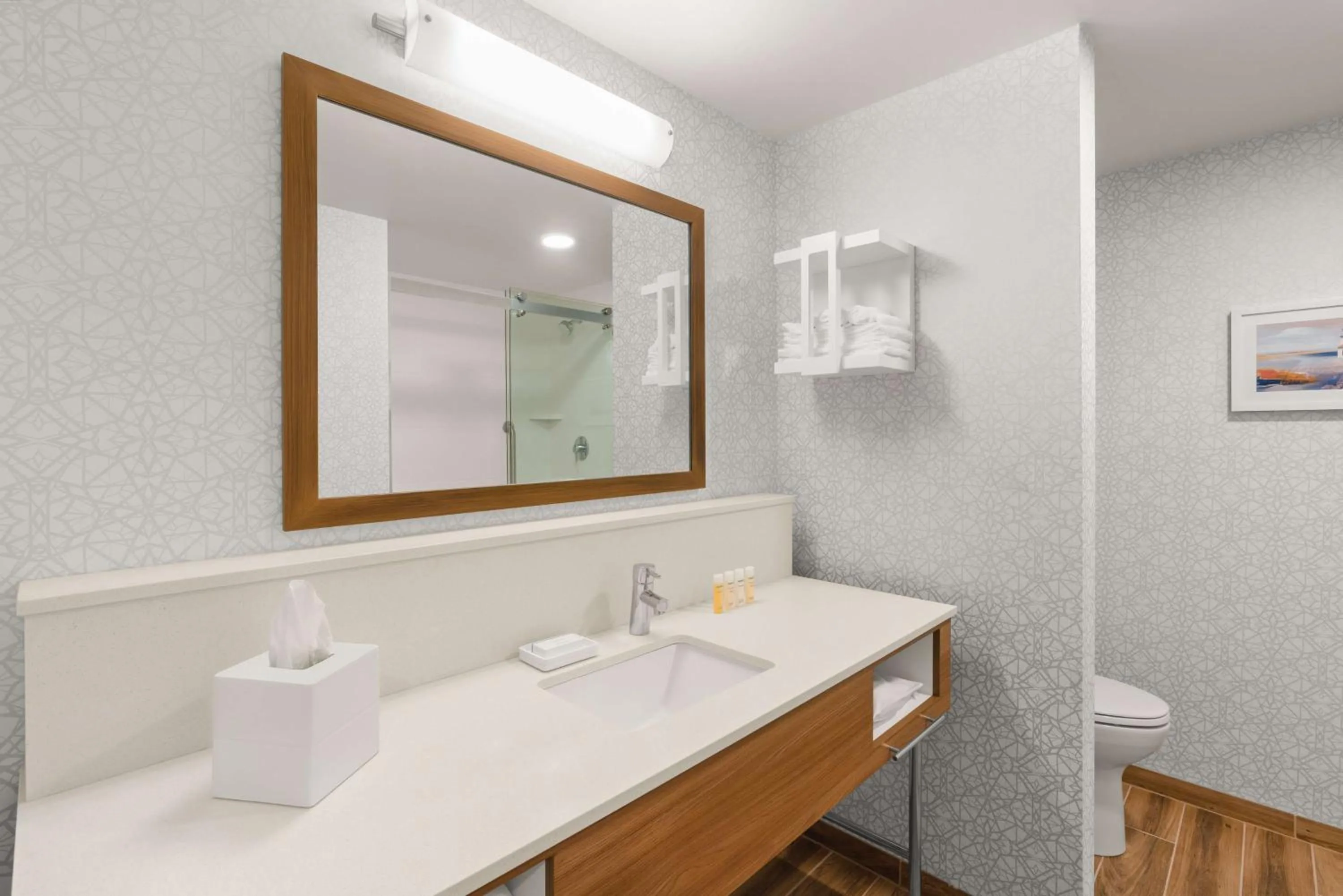 Bathroom in Hampton Inn Bellingham Airport, WA