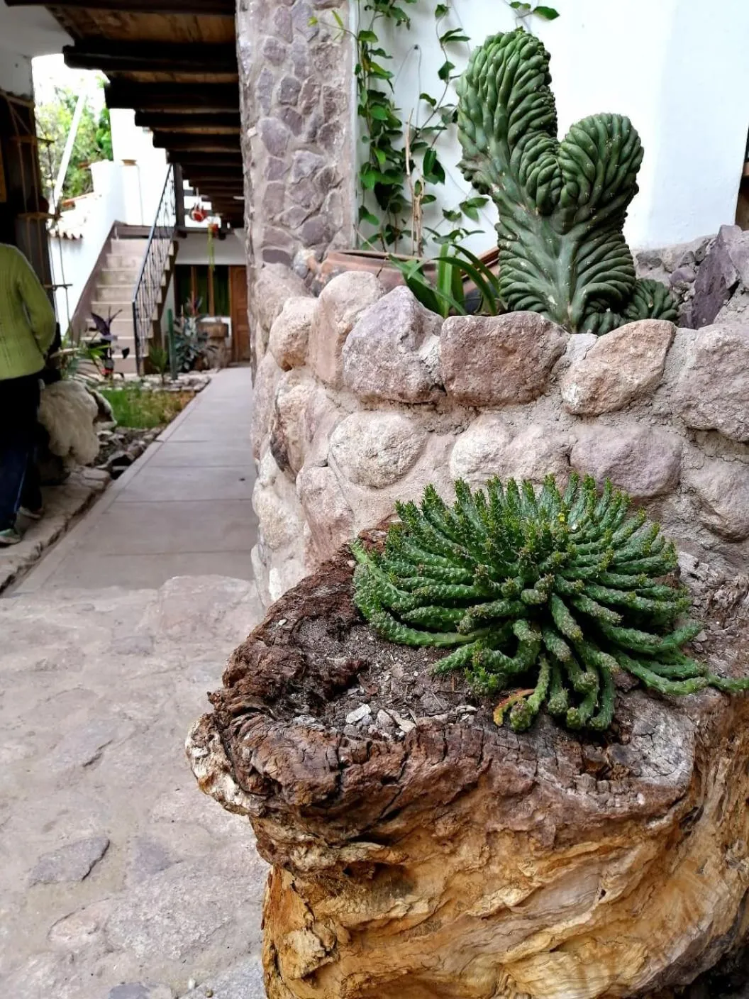 Patio in MAMA GREEN HOSTAL - Eco Andean Experience and Permaculture Farm - Vegetarian Breakfast