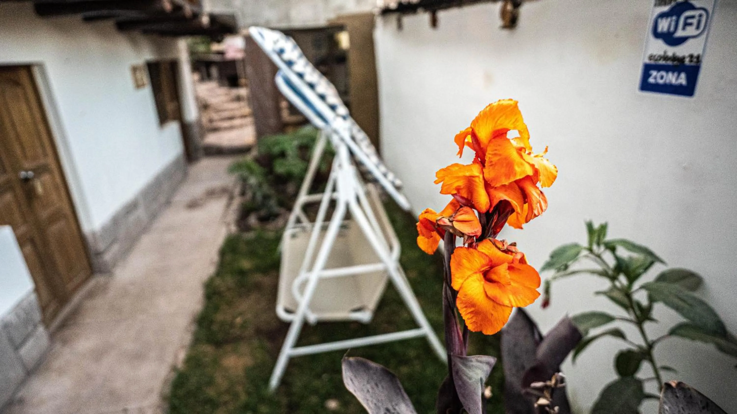 Patio in MAMA GREEN HOSTAL - Eco Andean Experience and Permaculture Farm - Vegetarian Breakfast